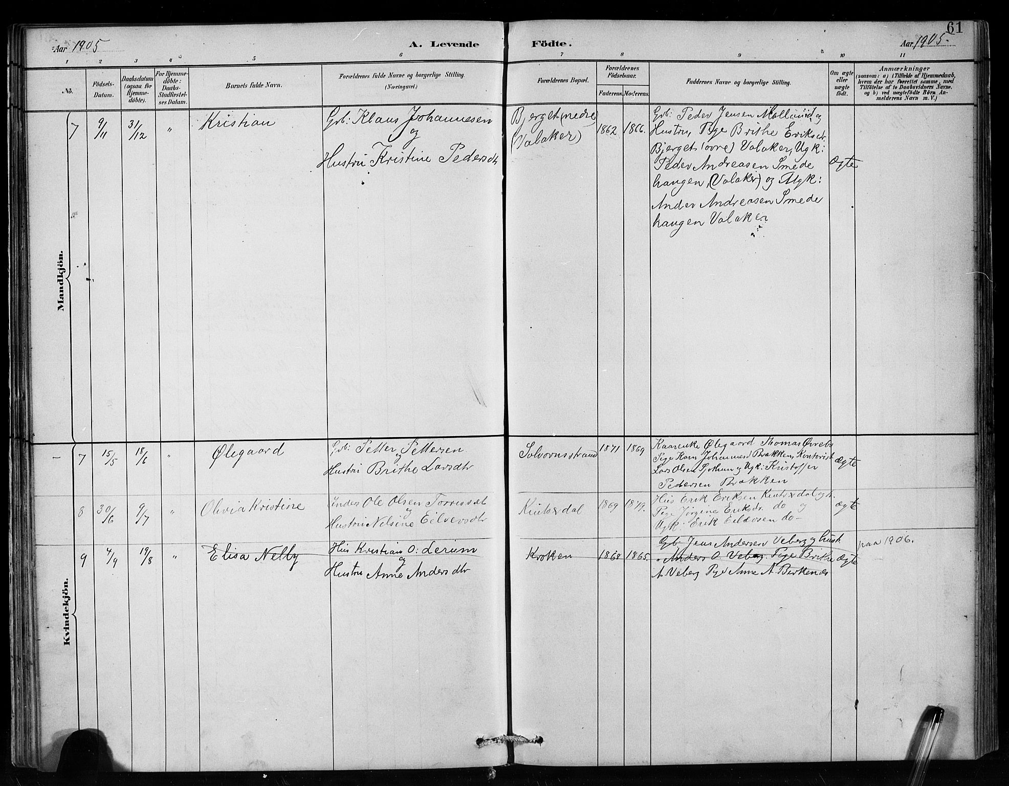 Hafslo sokneprestembete, AV/SAB-A-80301/H/Hab/Habc/L0001: Parish register (copy) no. C 1, 1882-1908, p. 61