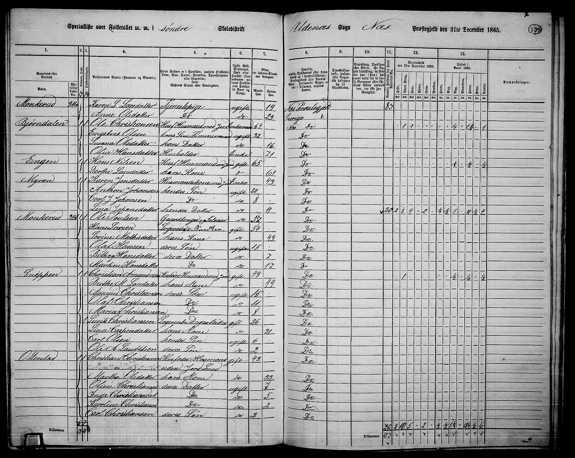 RA, 1865 census for Nes, 1865, p. 345