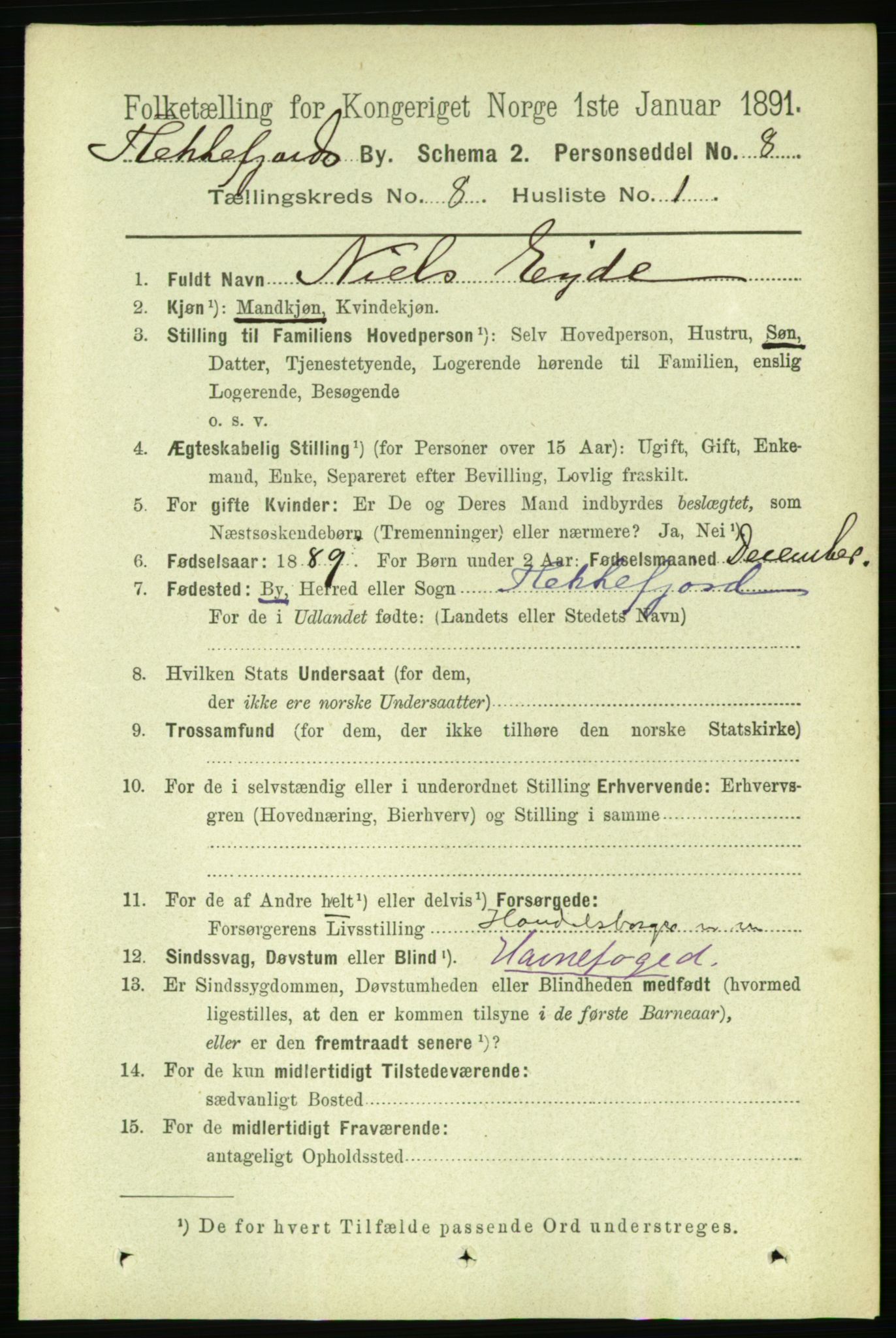 RA, 1891 census for 1004 Flekkefjord, 1891, p. 1370