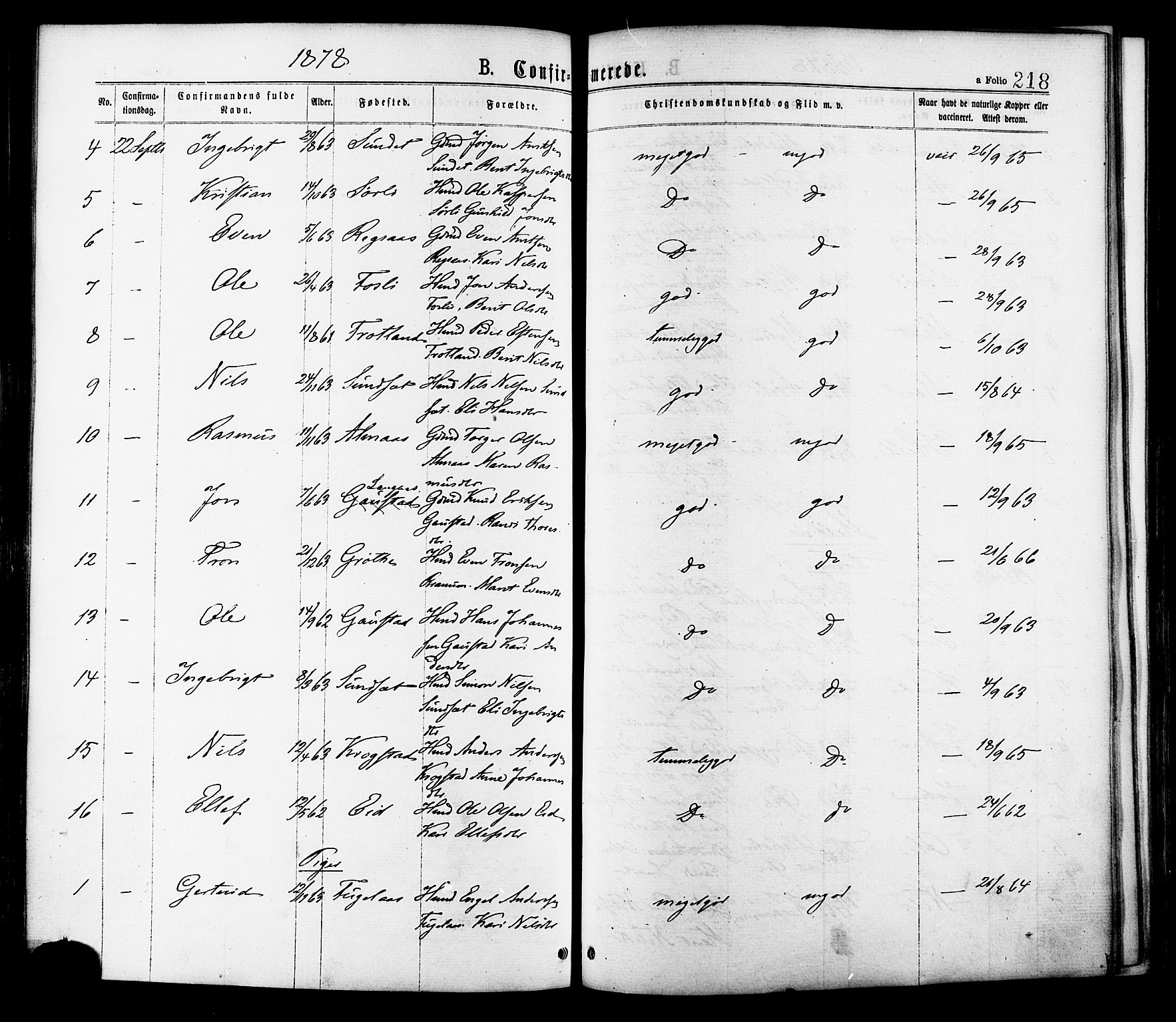 Ministerialprotokoller, klokkerbøker og fødselsregistre - Sør-Trøndelag, AV/SAT-A-1456/691/L1079: Parish register (official) no. 691A11, 1873-1886, p. 218