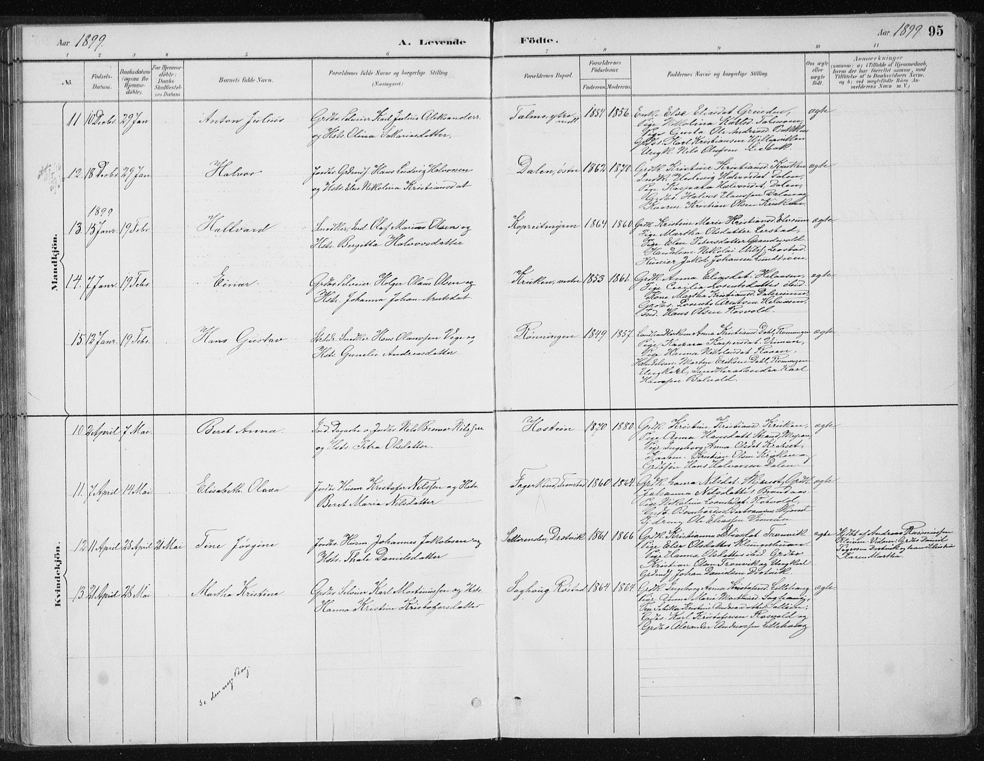 Ministerialprotokoller, klokkerbøker og fødselsregistre - Nord-Trøndelag, AV/SAT-A-1458/701/L0010: Parish register (official) no. 701A10, 1883-1899, p. 95