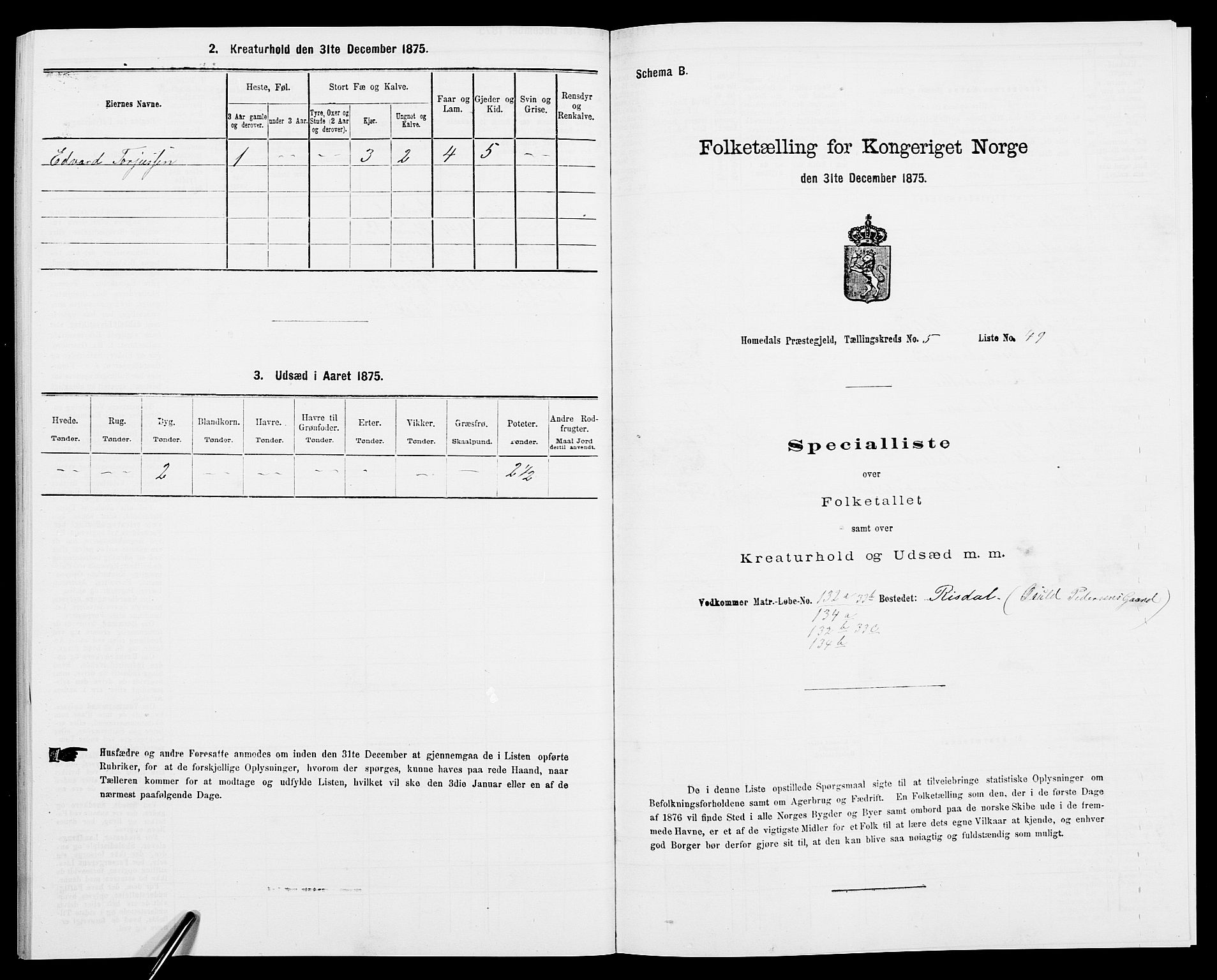 SAK, 1875 census for 0924P Homedal, 1875, p. 1030