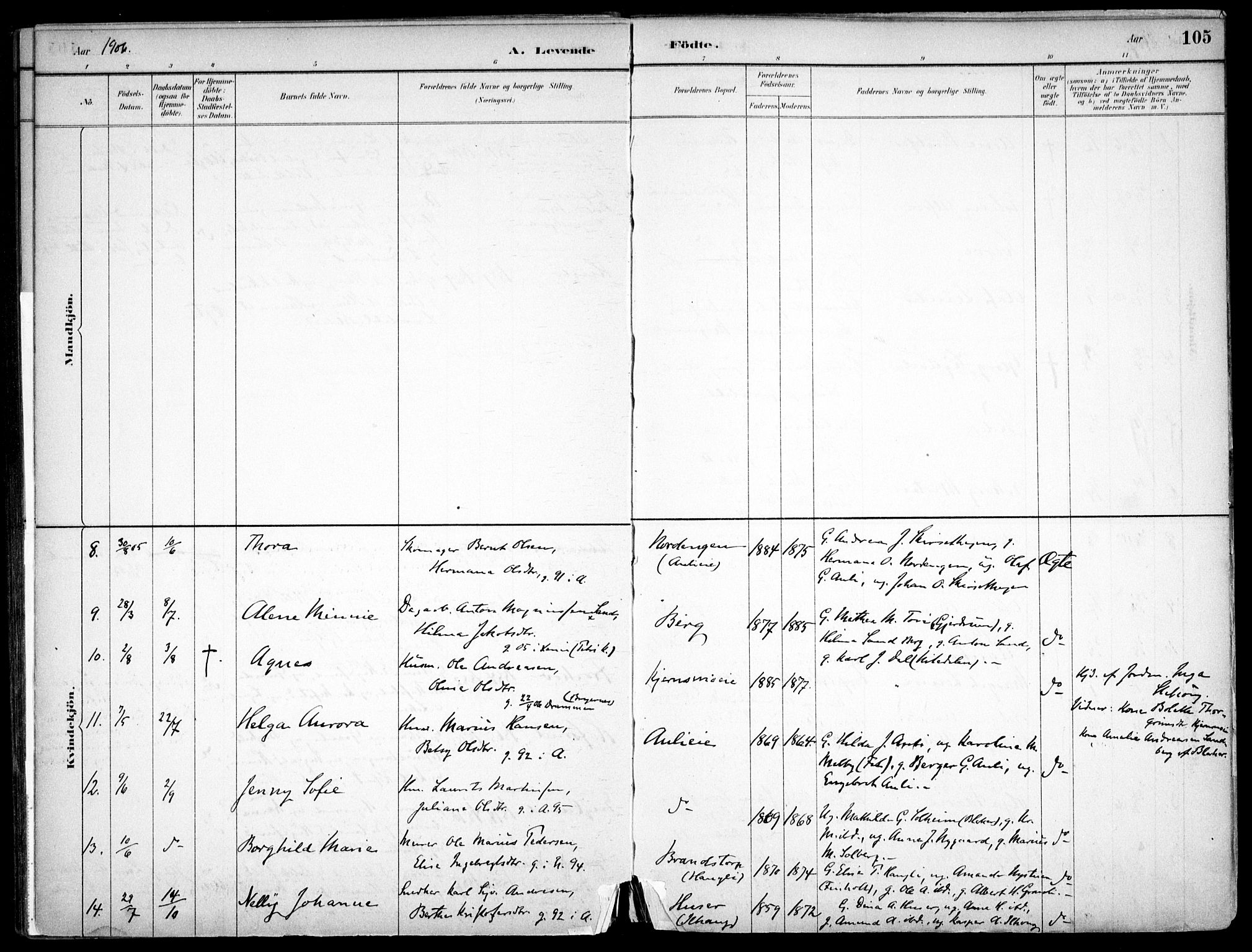 Nes prestekontor Kirkebøker, AV/SAO-A-10410/F/Fc/L0002: Parish register (official) no. IIi 2, 1882-1916, p. 105