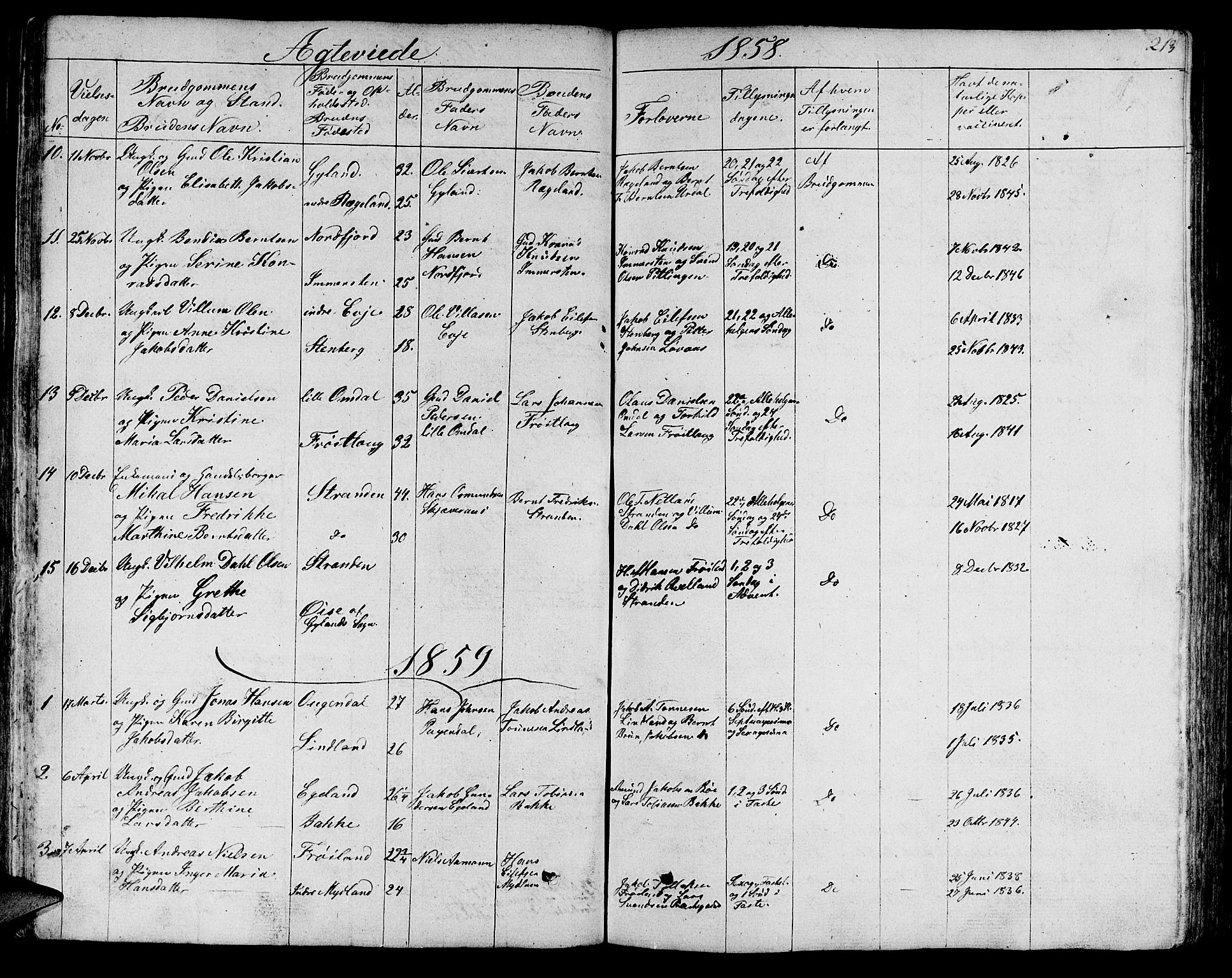 Sokndal sokneprestkontor, SAST/A-101808: Parish register (copy) no. B 2, 1849-1865, p. 213