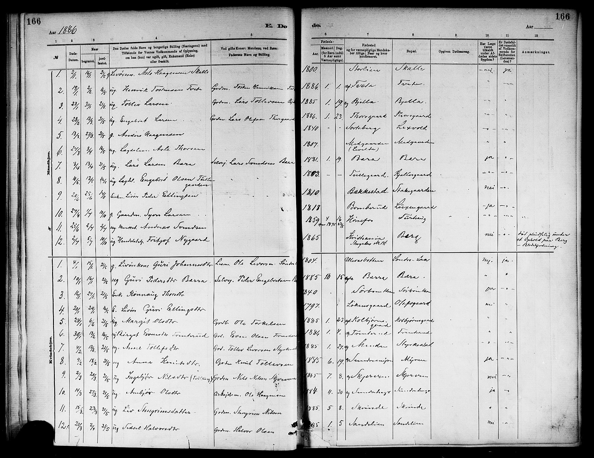 Ål kirkebøker, SAKO/A-249/F/Fa/L0008: Parish register (official) no. I 8, 1882-1896, p. 166