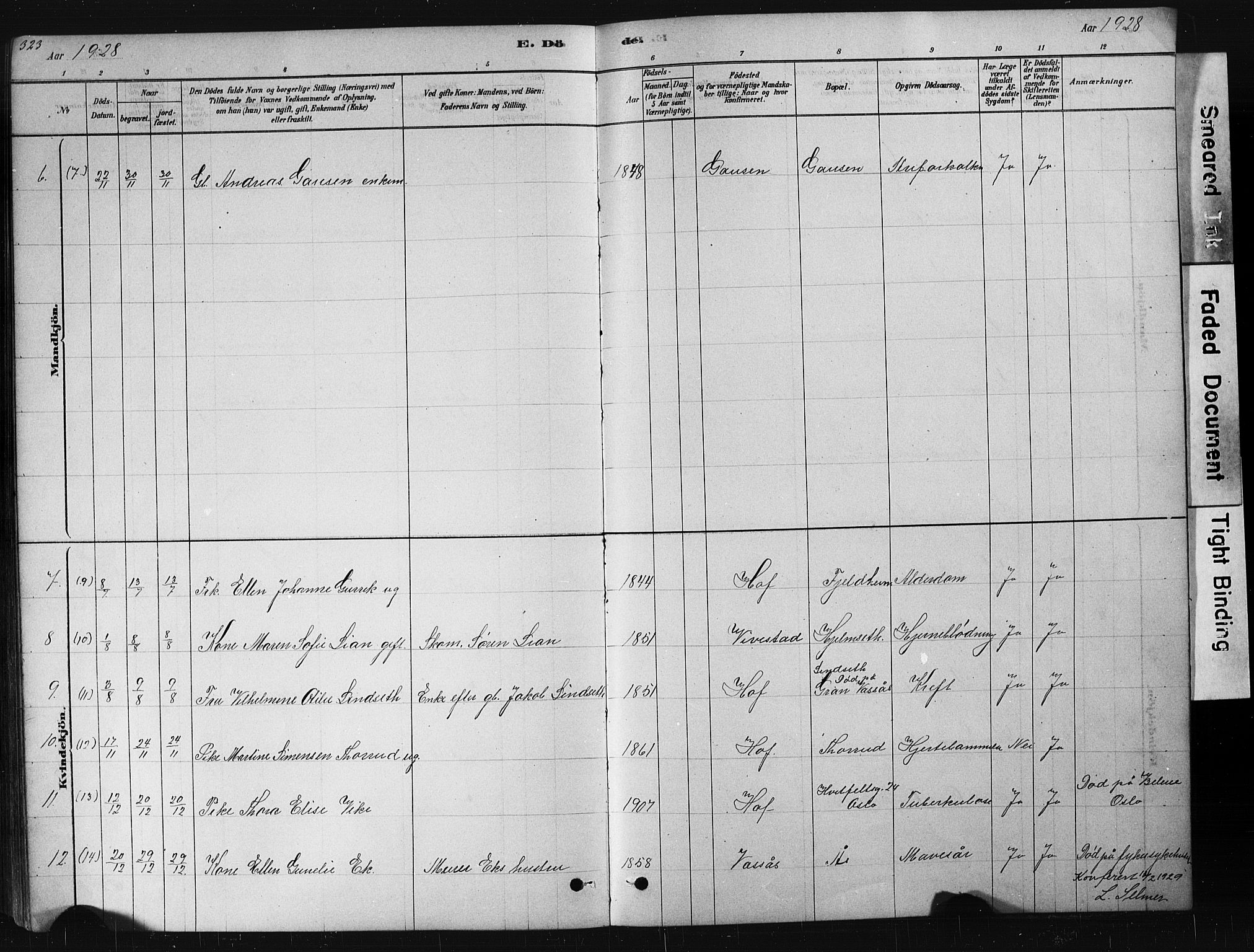 Hof kirkebøker, AV/SAKO-A-64/G/Ga/L0004: Parish register (copy) no. I 4, 1878-1930, p. 323