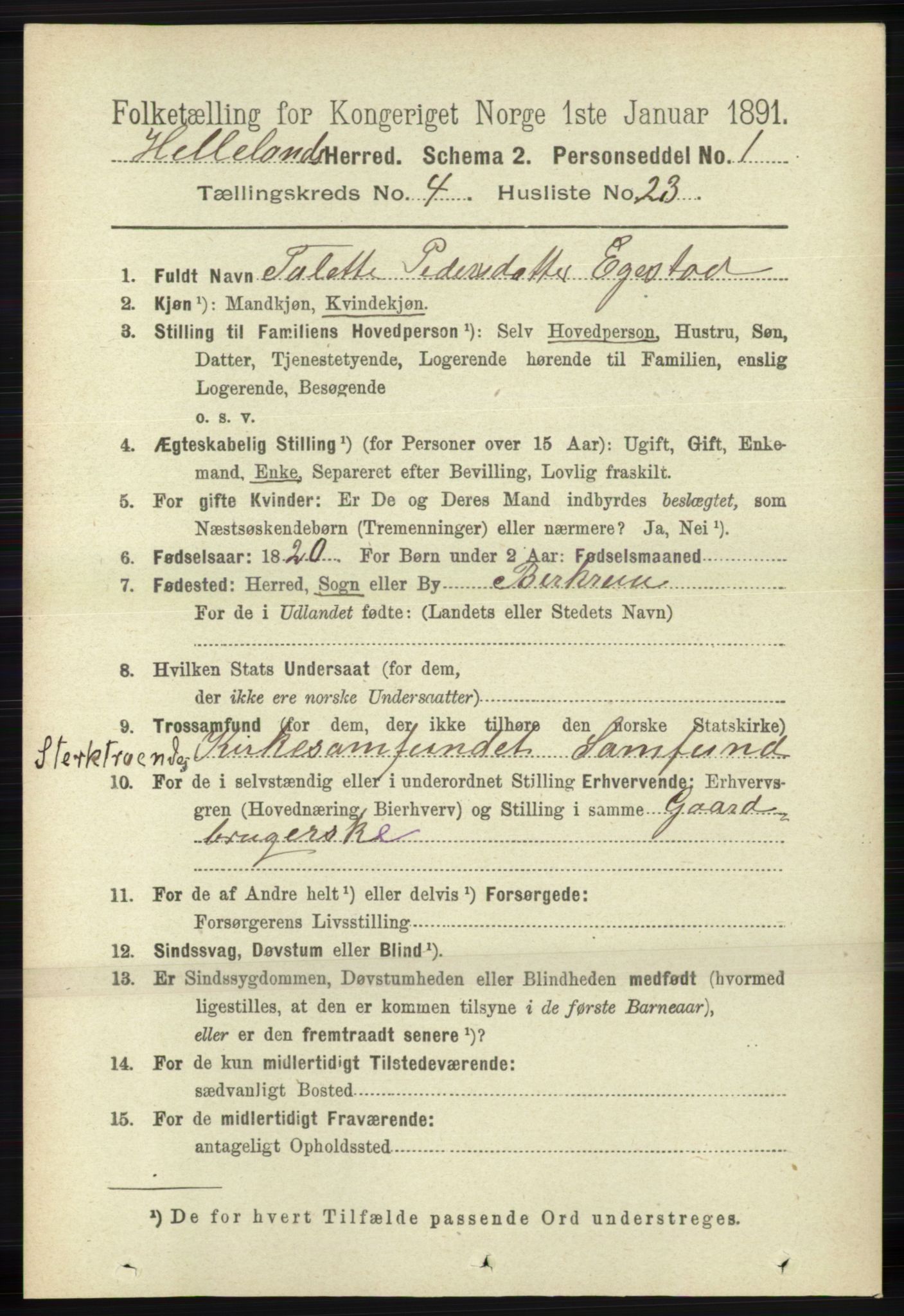 RA, 1891 census for 1115 Helleland, 1891, p. 1301