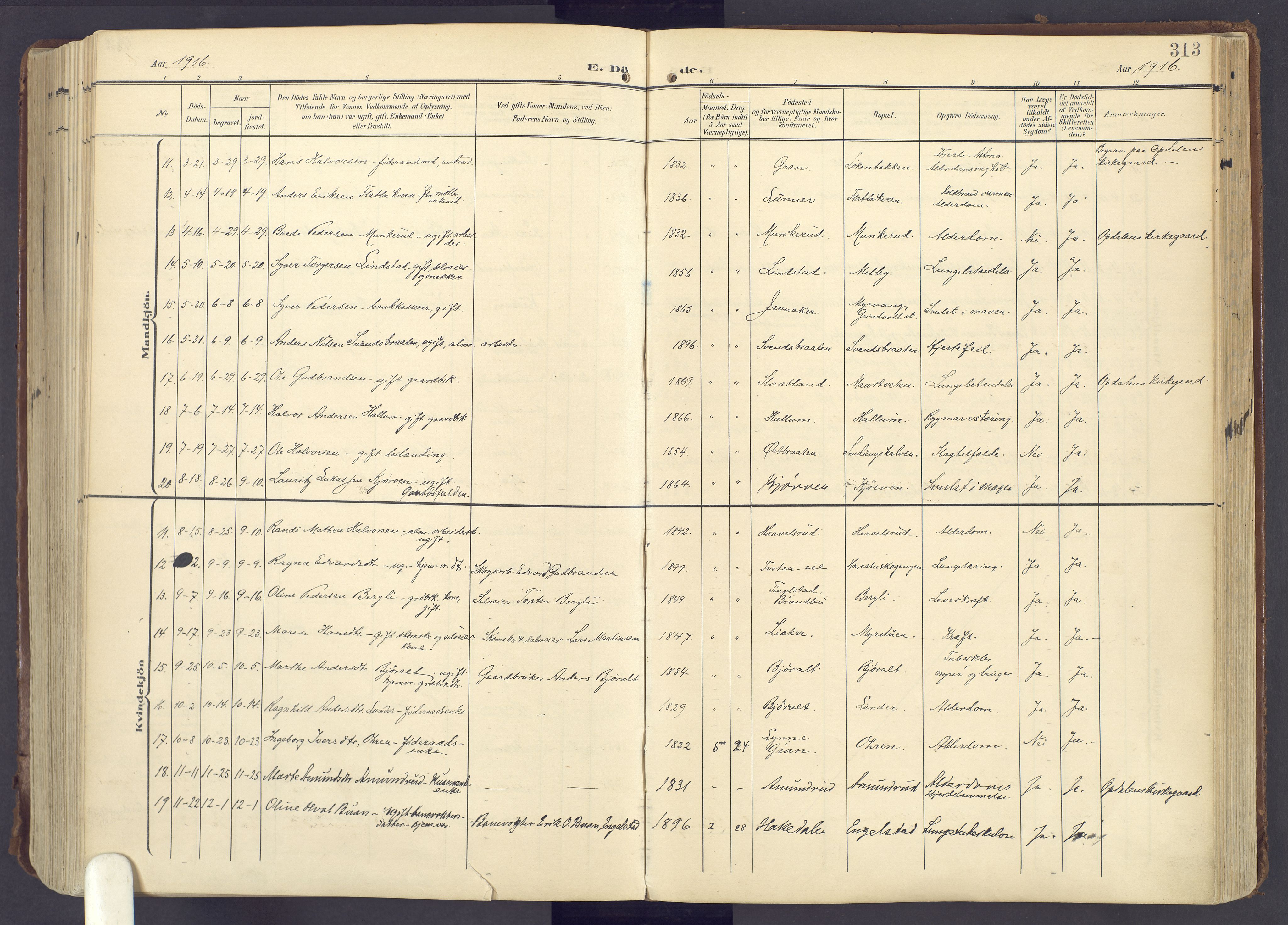 Lunner prestekontor, SAH/PREST-118/H/Ha/Haa/L0001: Parish register (official) no. 1, 1907-1922, p. 313