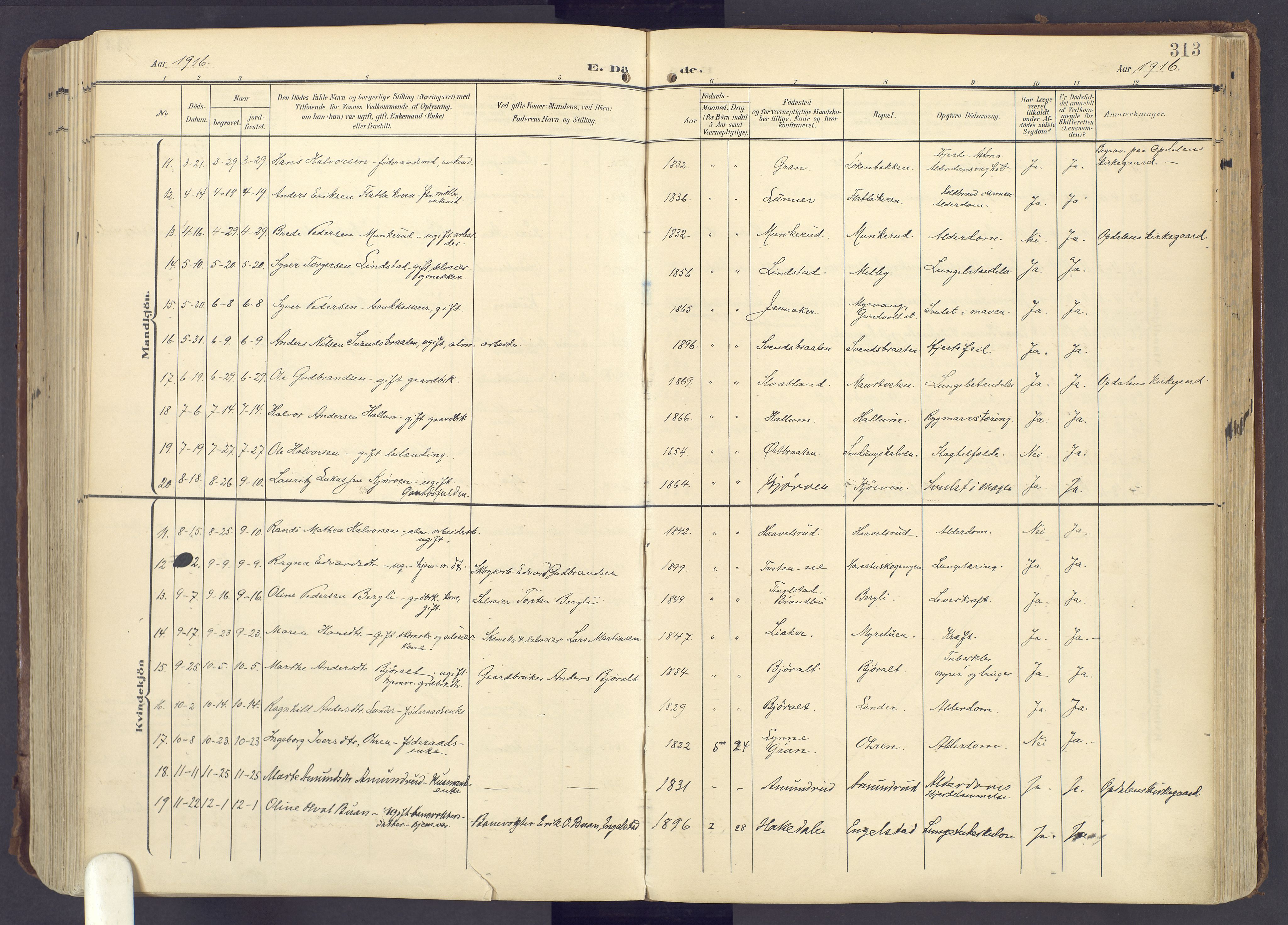 Lunner prestekontor, AV/SAH-PREST-118/H/Ha/Haa/L0001: Parish register (official) no. 1, 1907-1922, p. 313