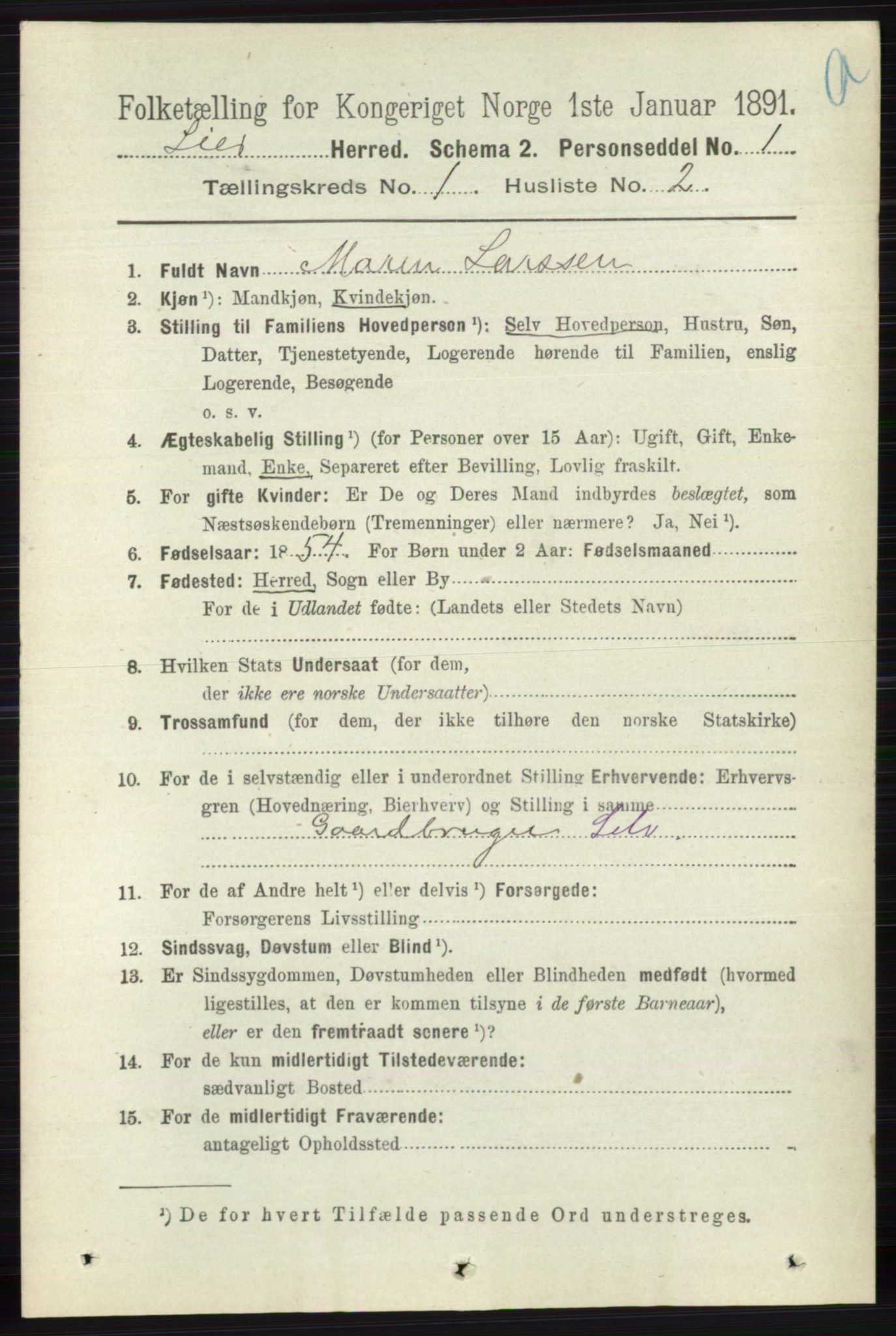 RA, 1891 census for 0626 Lier, 1891, p. 190