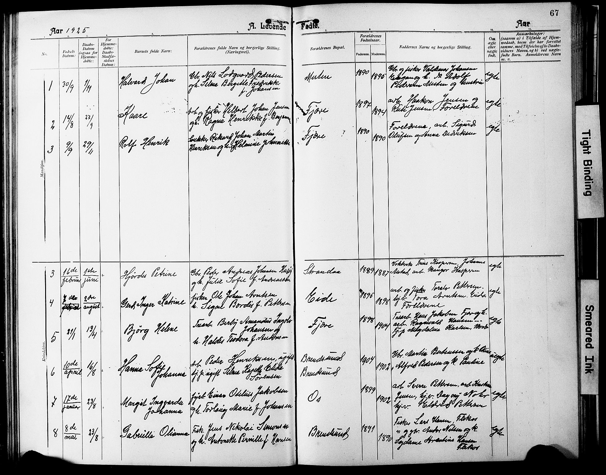 Ministerialprotokoller, klokkerbøker og fødselsregistre - Nordland, SAT/A-1459/803/L0077: Parish register (copy) no. 803C04, 1897-1930, p. 67