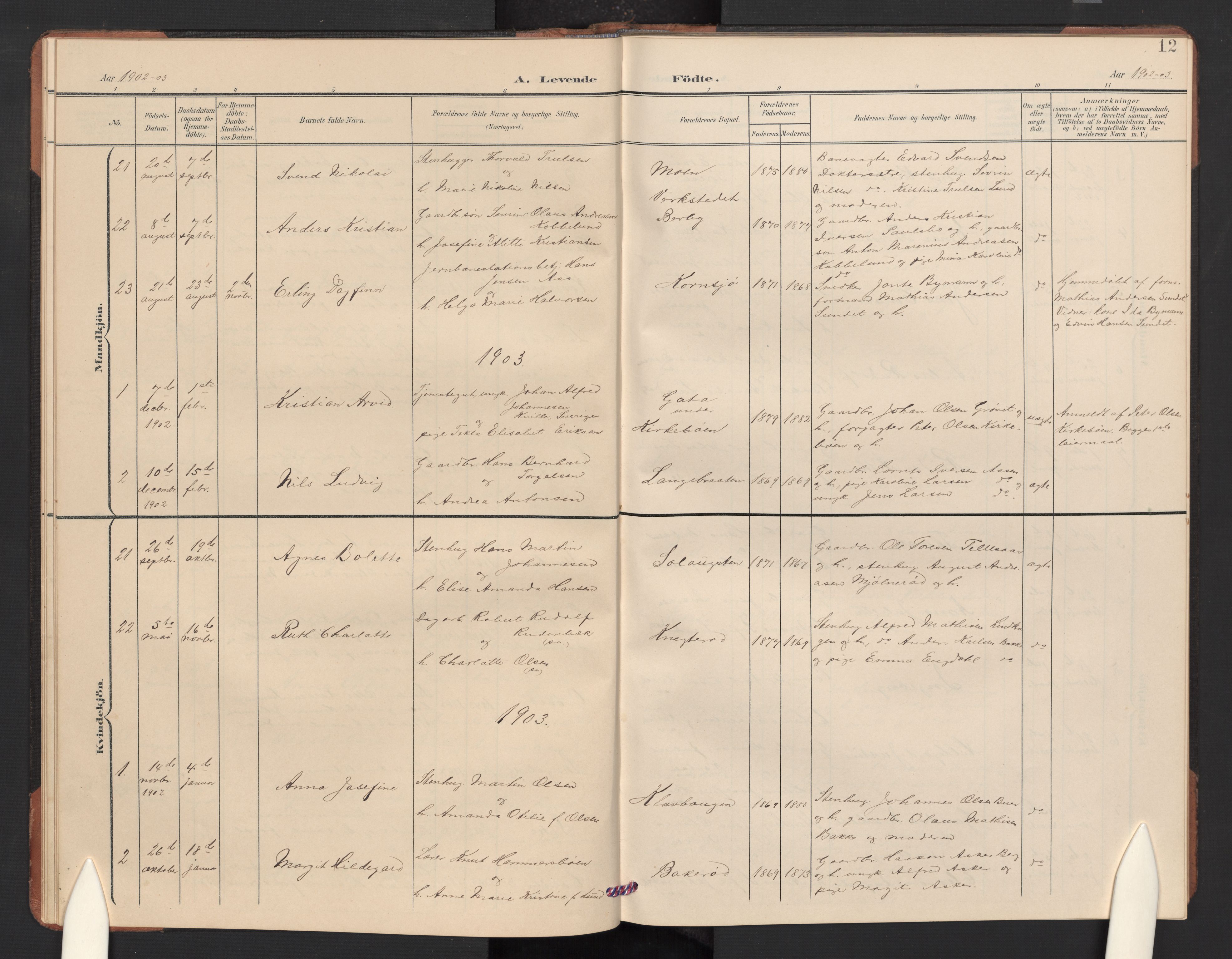 Idd prestekontor Kirkebøker, SAO/A-10911/G/Gc/L0001: Parish register (copy) no. III 1, 1901-1910, p. 12