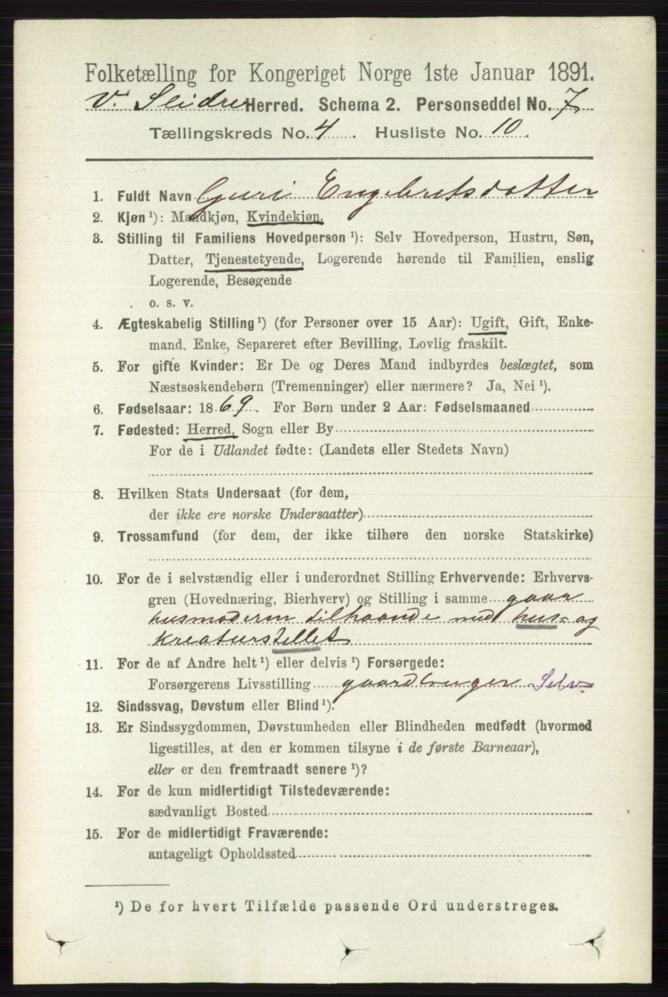 RA, 1891 census for 0543 Vestre Slidre, 1891, p. 1309