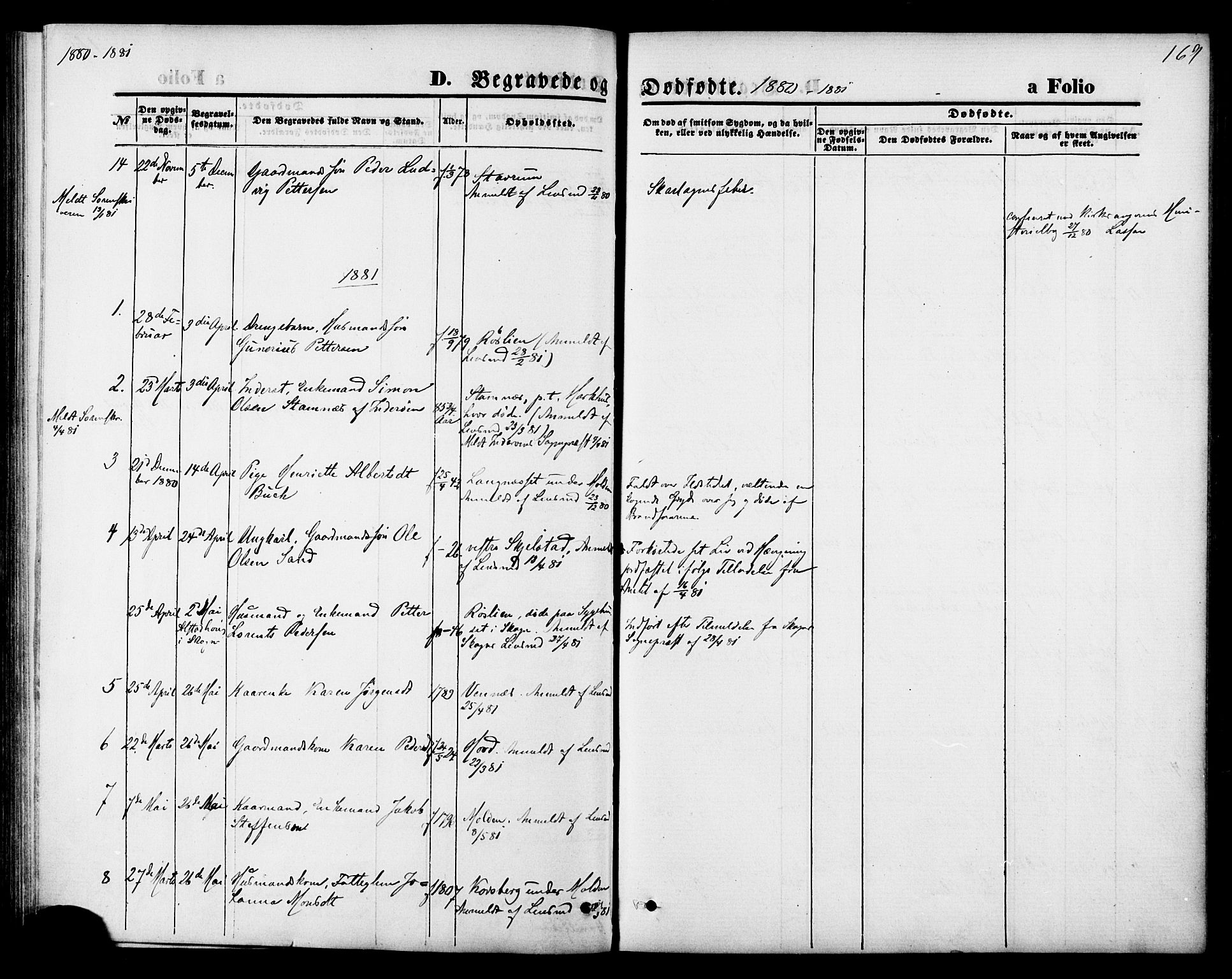 Ministerialprotokoller, klokkerbøker og fødselsregistre - Nord-Trøndelag, AV/SAT-A-1458/744/L0419: Parish register (official) no. 744A03, 1867-1881, p. 169