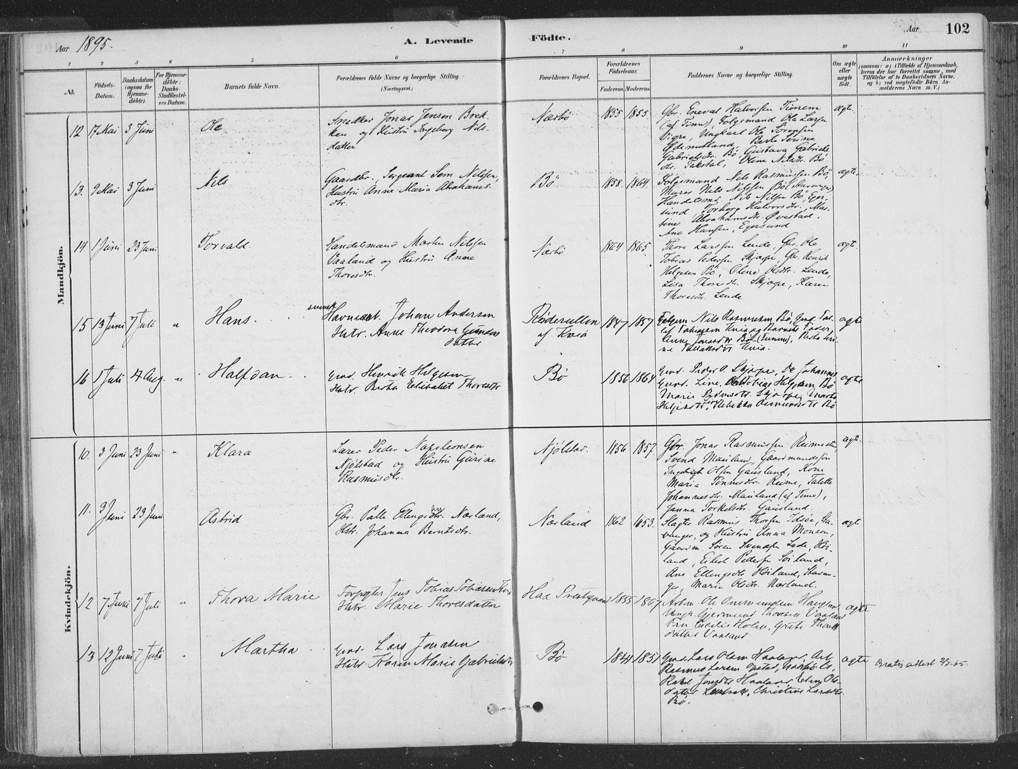 Hå sokneprestkontor, SAST/A-101801/001/30BA/L0010: Parish register (official) no. A 9, 1879-1896, p. 102