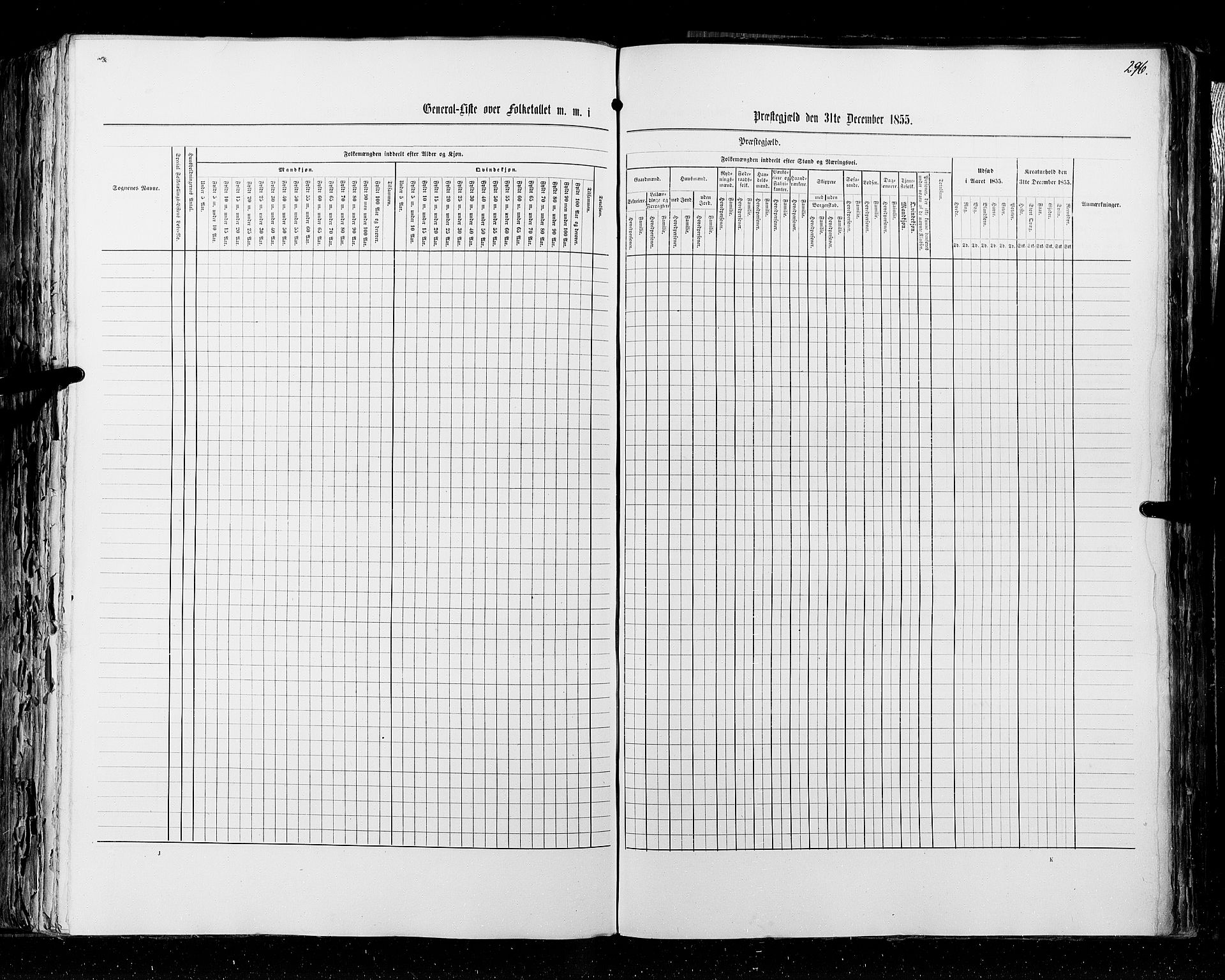 RA, Census 1855, vol. 2: Kristians amt, Buskerud amt og Jarlsberg og Larvik amt, 1855, p. 296