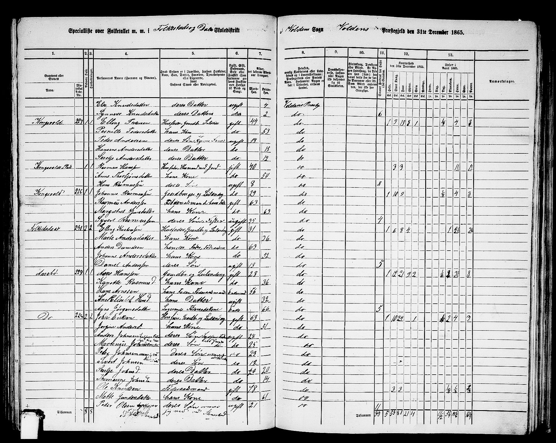 RA, 1865 census for Volda, 1865, p. 126