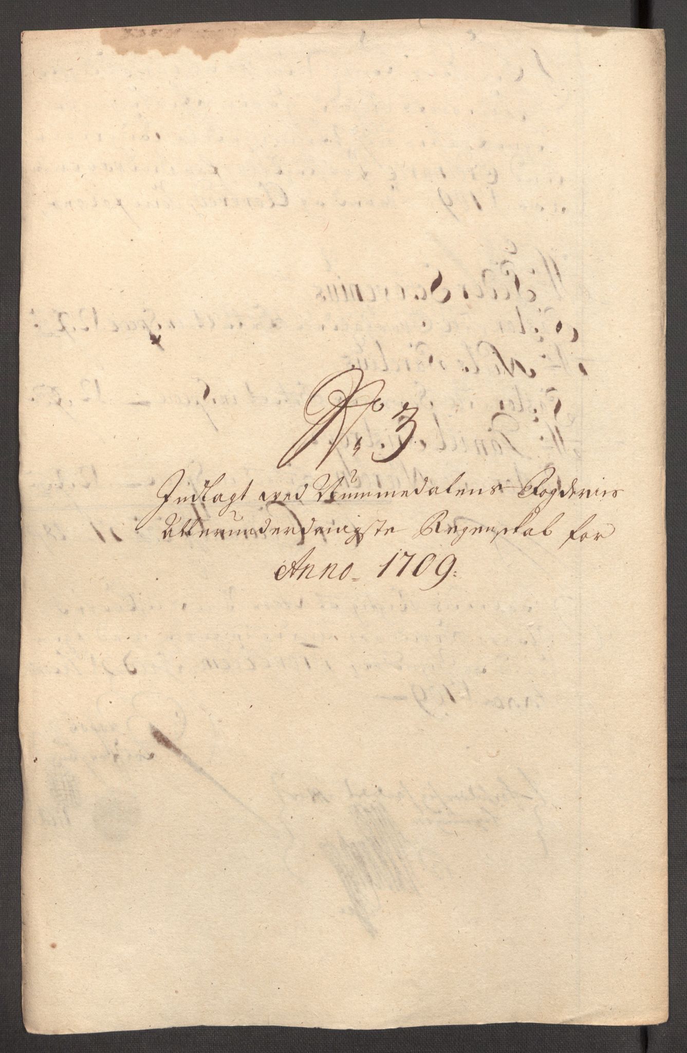 Rentekammeret inntil 1814, Reviderte regnskaper, Fogderegnskap, AV/RA-EA-4092/R64/L4431: Fogderegnskap Namdal, 1709-1710, p. 107