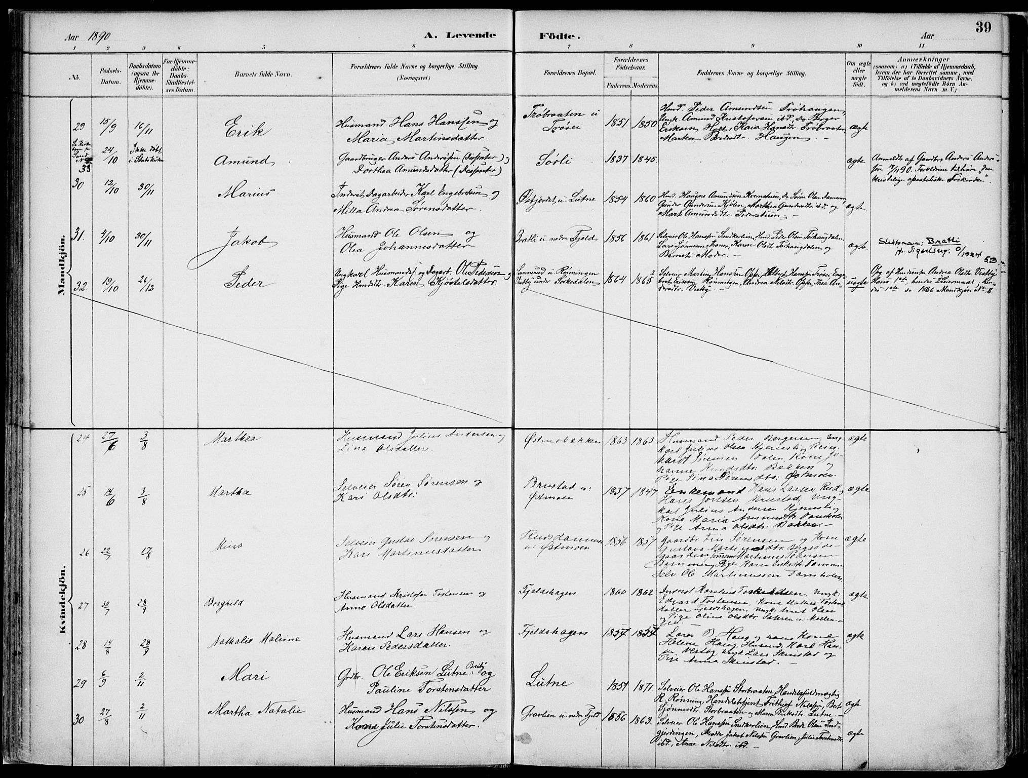 Nord-Odal prestekontor, AV/SAH-PREST-032/H/Ha/Haa/L0008: Parish register (official) no. 8, 1886-1901, p. 39