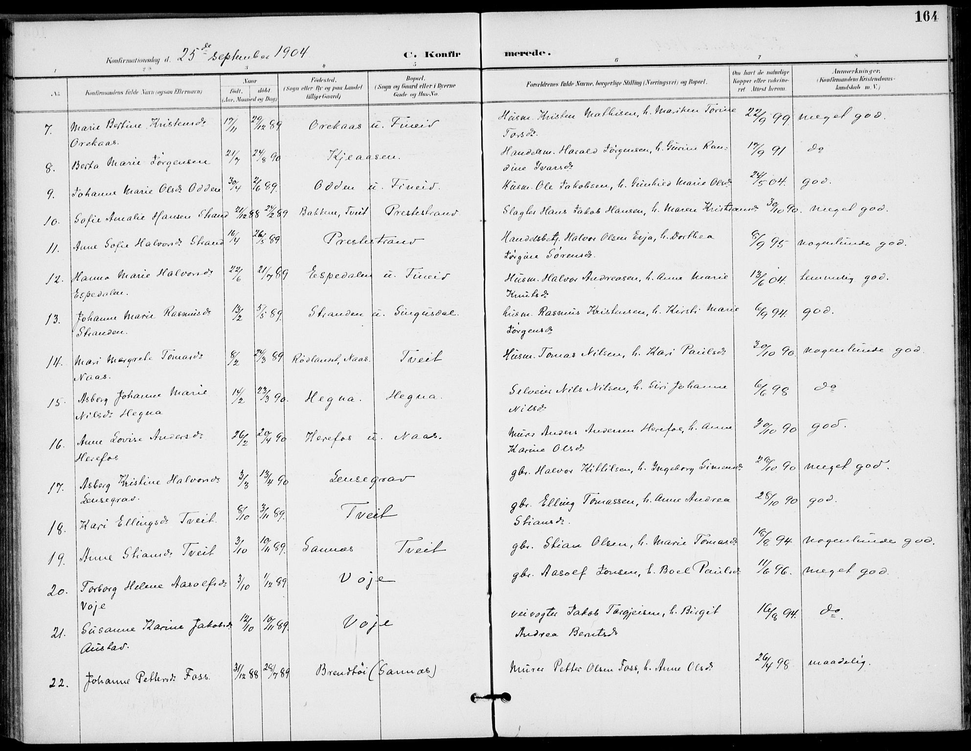 Drangedal kirkebøker, AV/SAKO-A-258/F/Fa/L0012: Parish register (official) no. 12, 1895-1905, p. 164