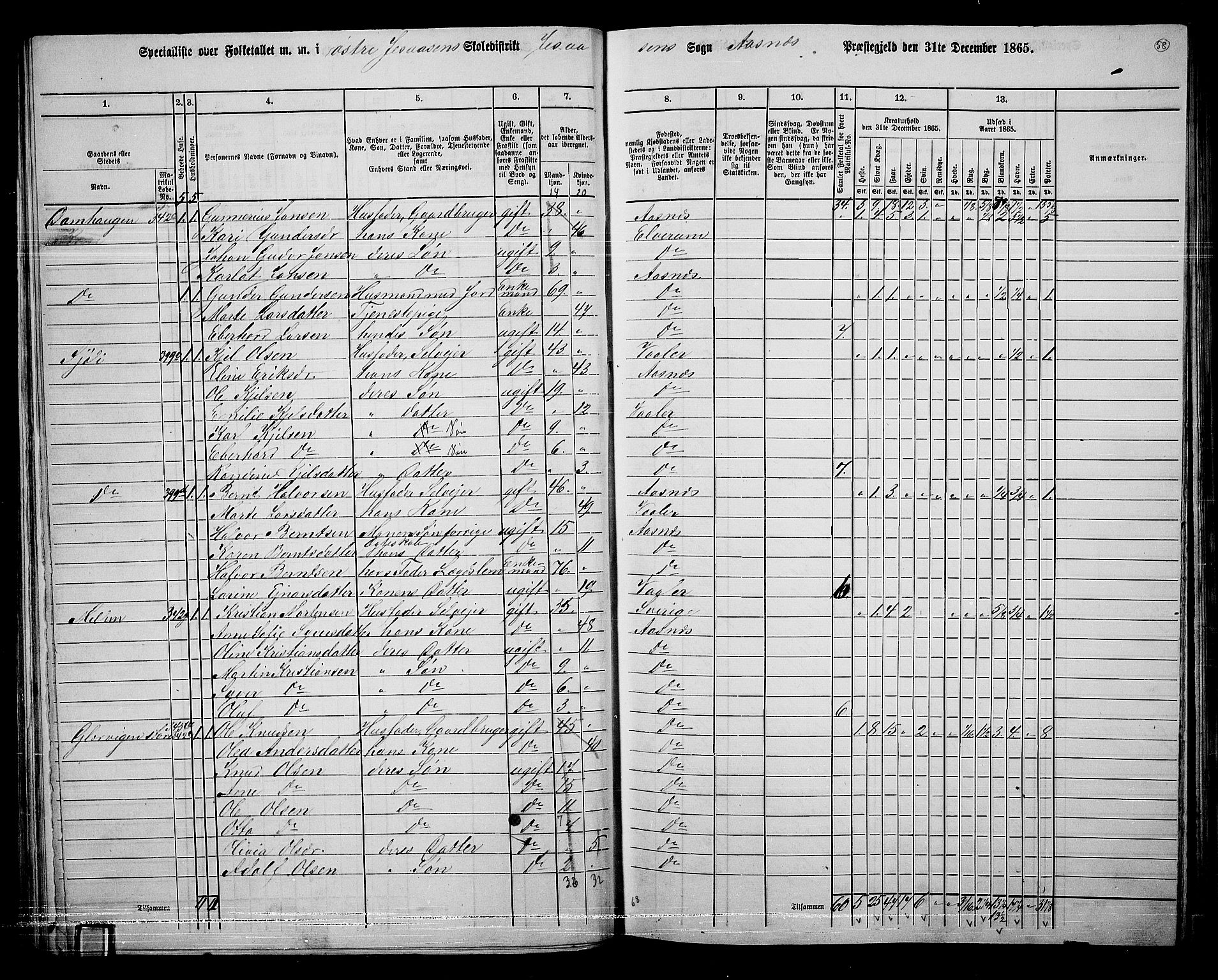 RA, 1865 census for Åsnes, 1865, p. 54