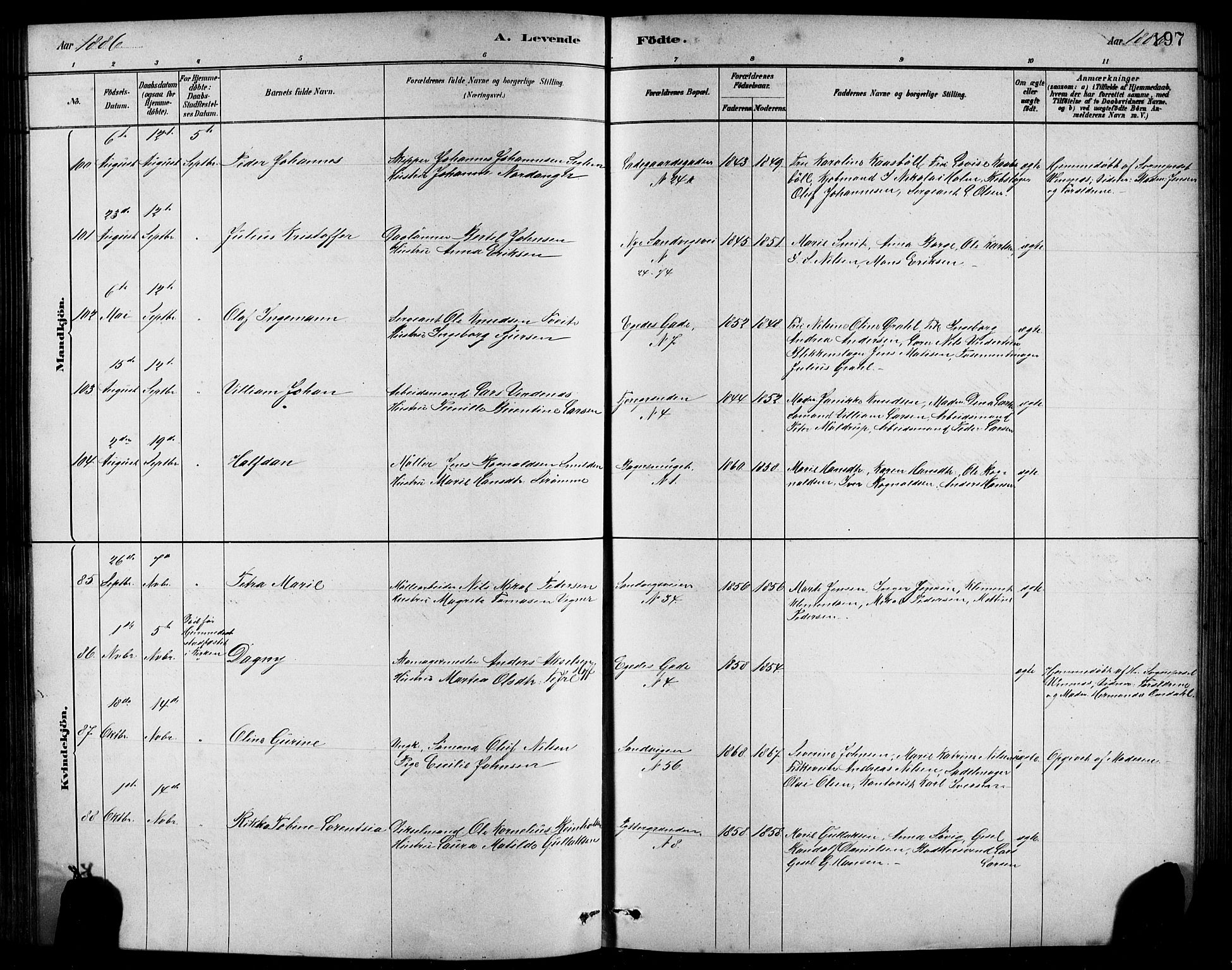 Sandviken Sokneprestembete, AV/SAB-A-77601/H/Hb/L0001: Parish register (copy) no. A 2, 1879-1892, p. 197