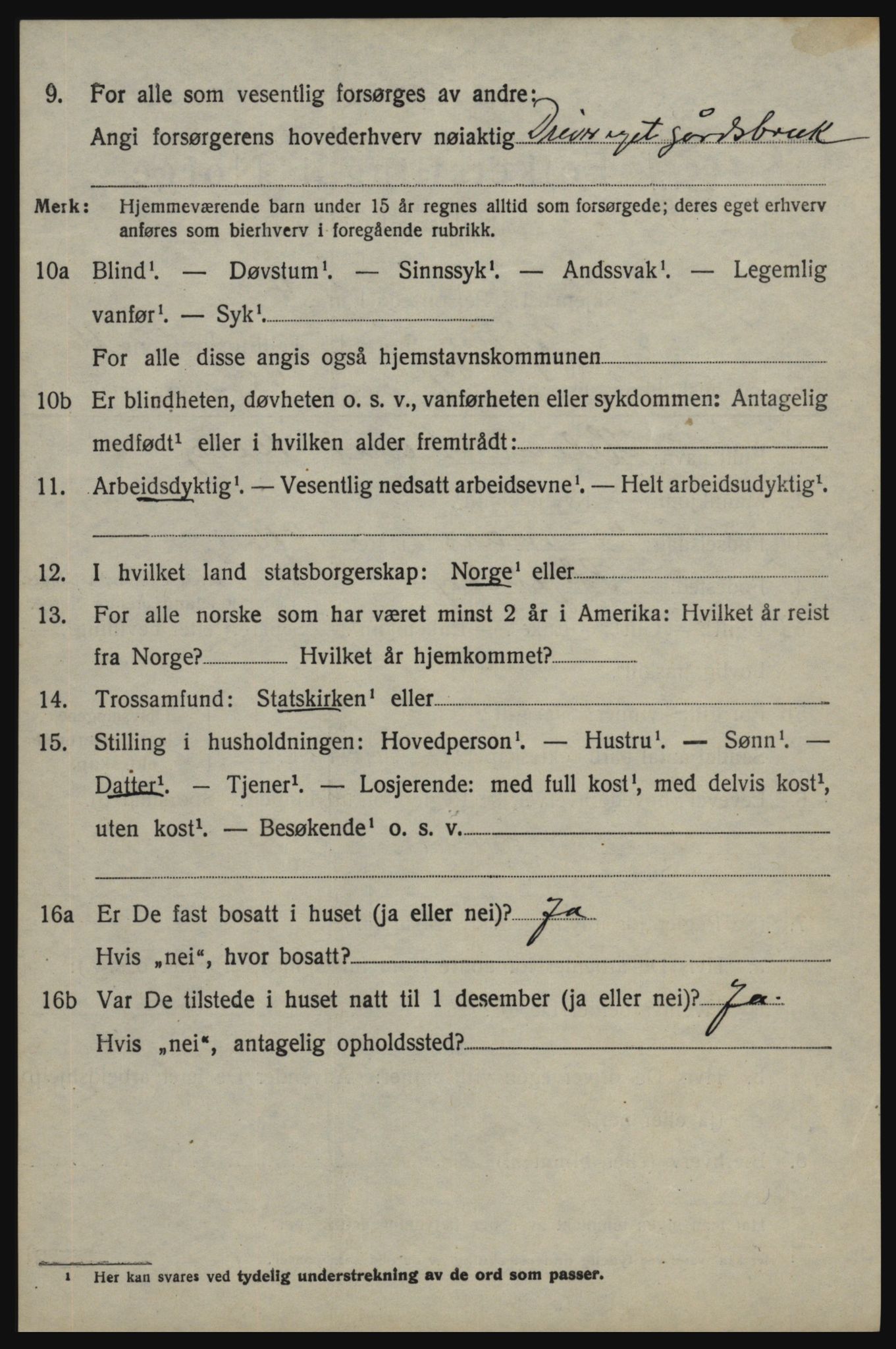 SAO, 1920 census for Skjeberg, 1920, p. 15076