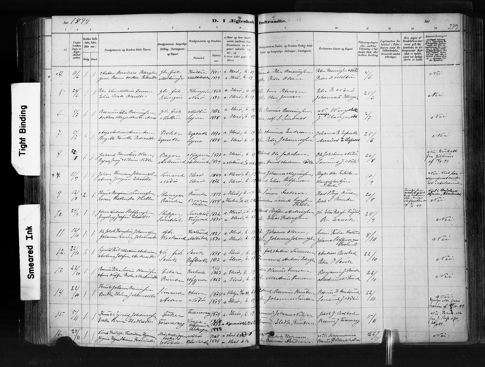 Ministerialprotokoller, klokkerbøker og fødselsregistre - Møre og Romsdal, AV/SAT-A-1454/507/L0073: Parish register (official) no. 507A08, 1878-1904, p. 243