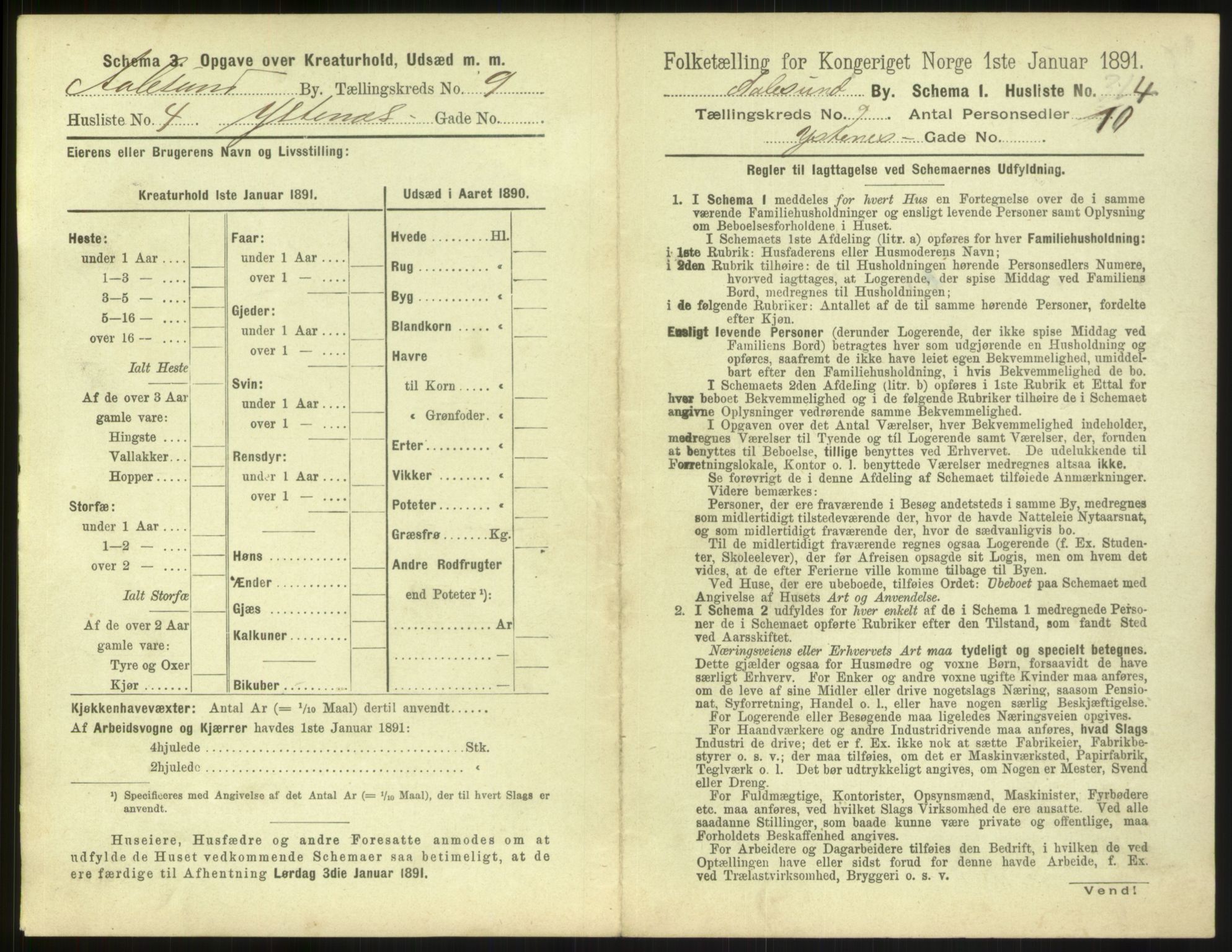 RA, 1891 census for 1501 Ålesund, 1891, p. 696