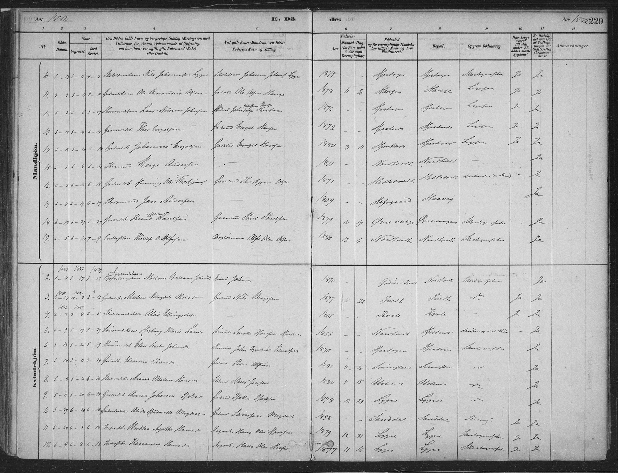 Fusa sokneprestembete, SAB/A-75401/H/Haa: Parish register (official) no. D 1, 1880-1938, p. 229