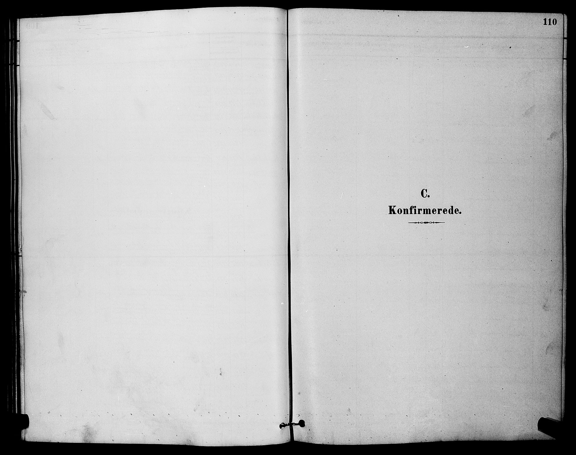Østre Fredrikstad prestekontor Kirkebøker, SAO/A-10907/G/Ga/L0001: Parish register (copy) no. 1, 1880-1899, p. 110