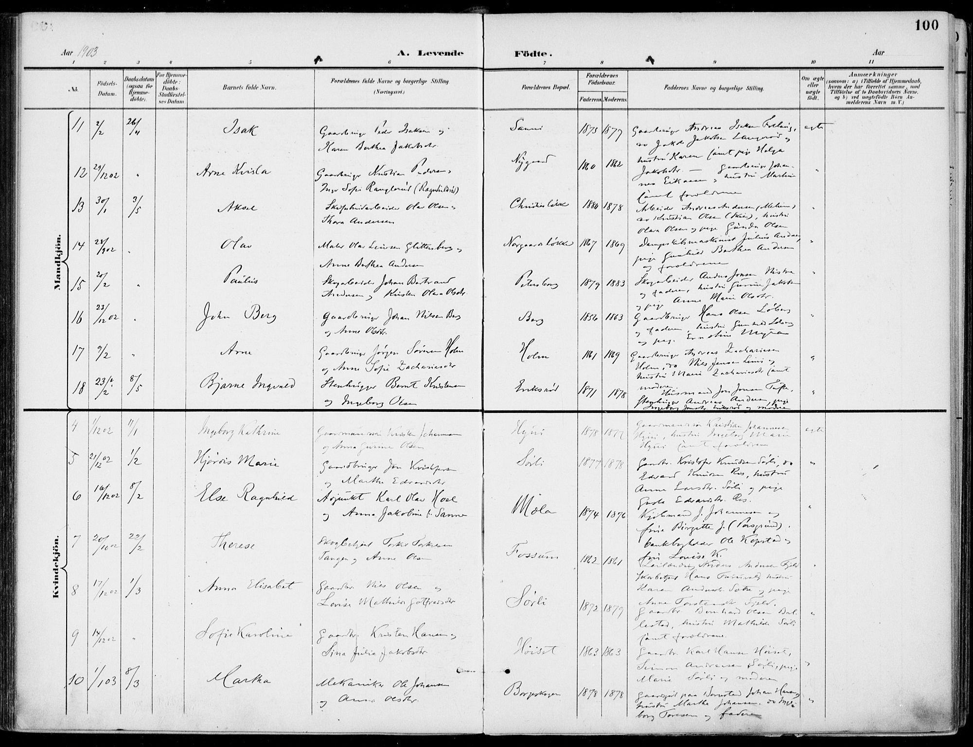 Gjerpen kirkebøker, SAKO/A-265/F/Fa/L0011: Parish register (official) no. I 11, 1896-1904, p. 100