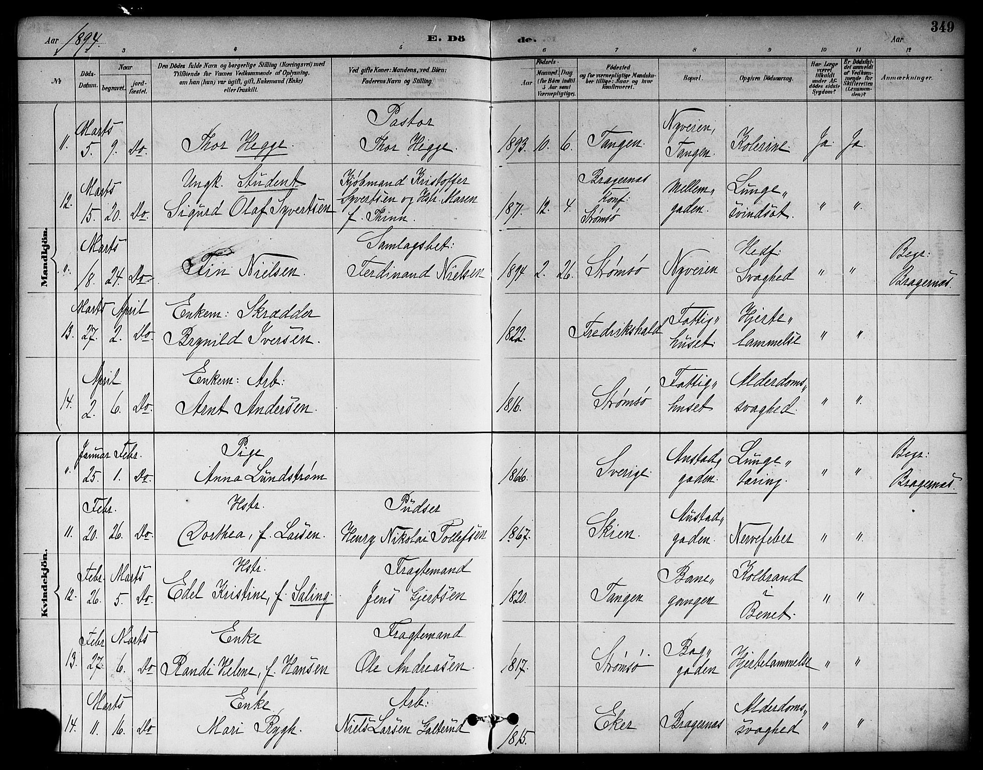 Strømsø kirkebøker, SAKO/A-246/F/Fa/L0023: Parish register (official) no. I 23, 1885-1894, p. 349