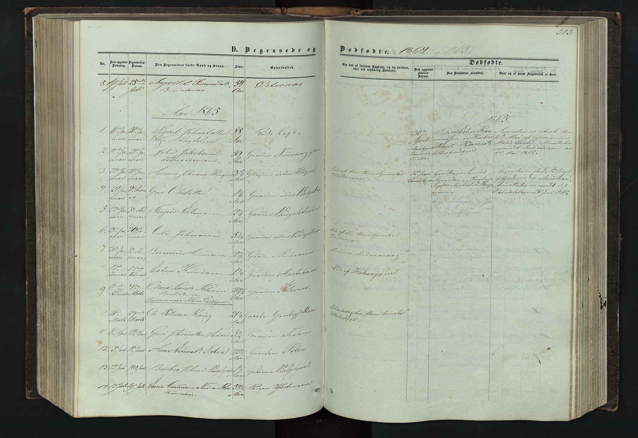 Tolga prestekontor, SAH/PREST-062/L/L0005: Parish register (copy) no. 5, 1862-1893, p. 303
