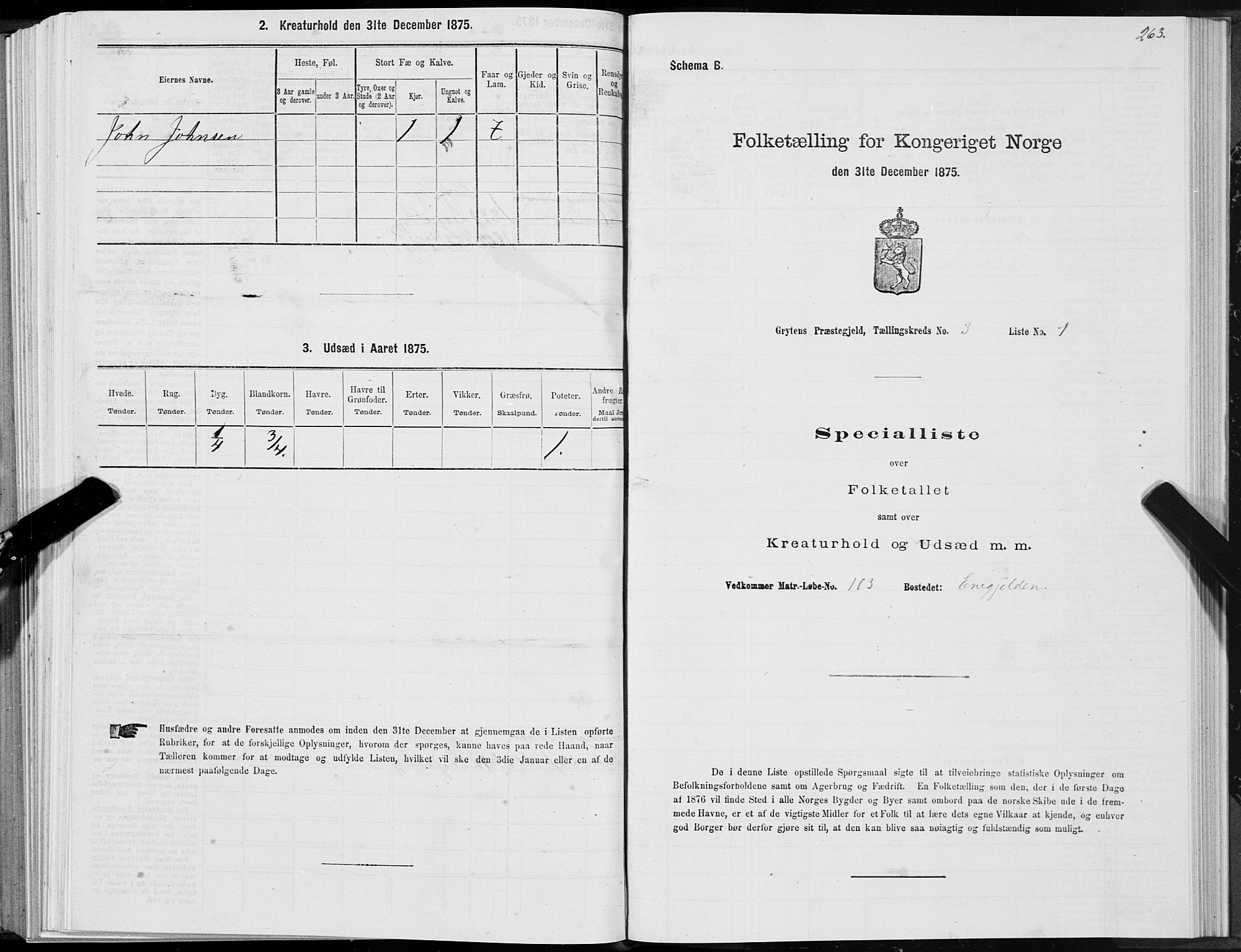 SAT, 1875 census for 1539P Grytten, 1875, p. 1263