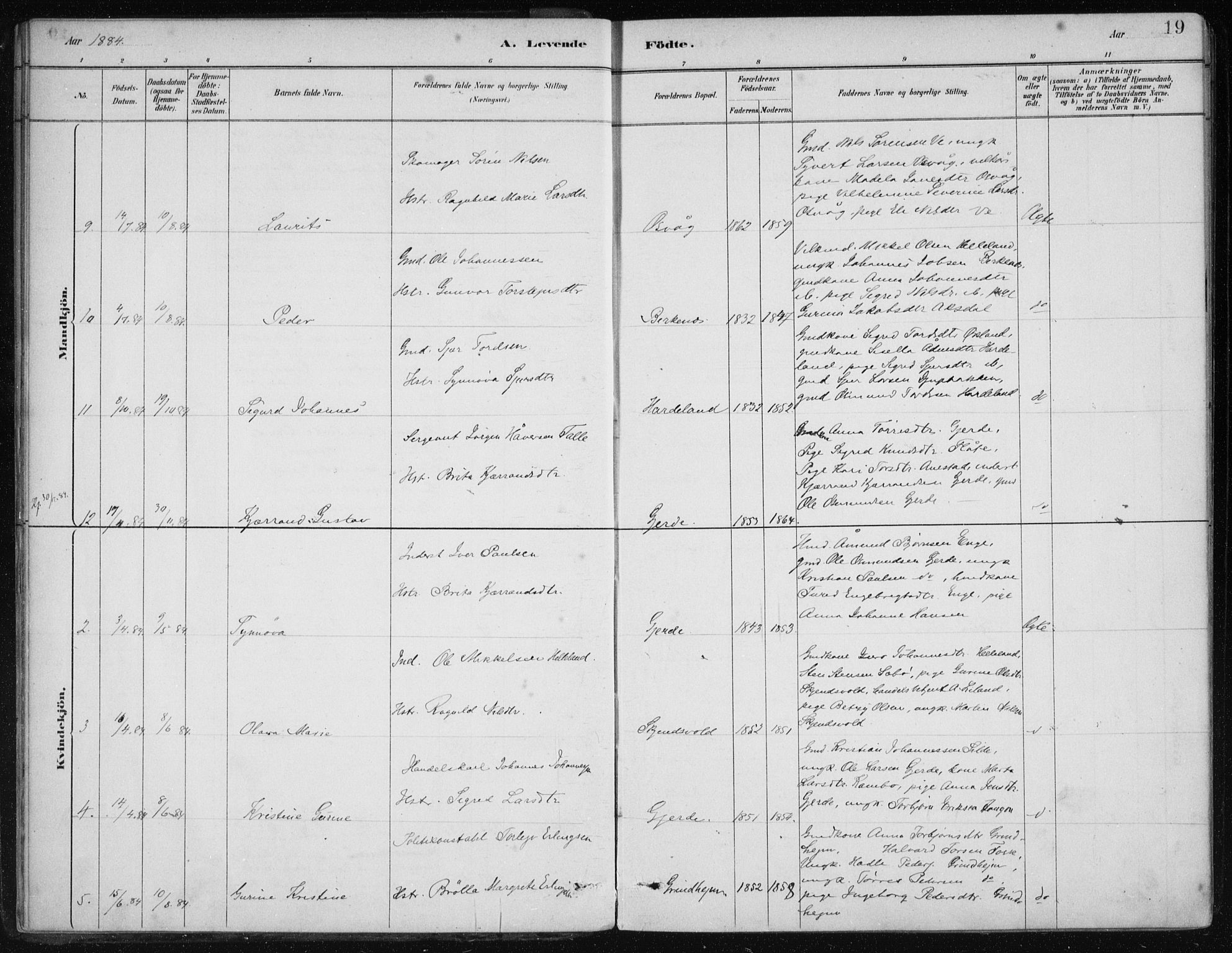 Etne sokneprestembete, AV/SAB-A-75001/H/Haa: Parish register (official) no. C  1, 1879-1919, p. 19