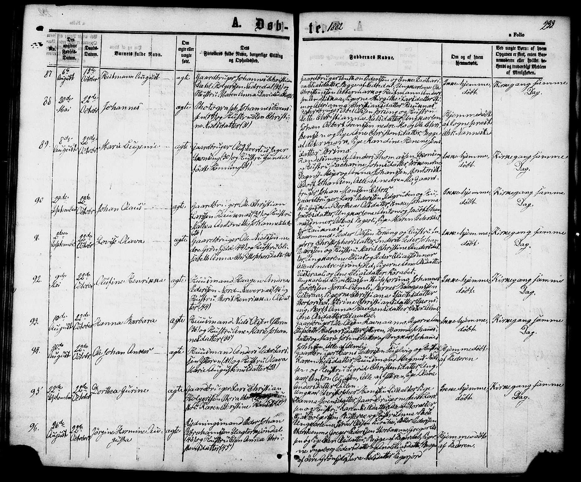 Ministerialprotokoller, klokkerbøker og fødselsregistre - Nordland, AV/SAT-A-1459/827/L0393: Parish register (official) no. 827A05, 1863-1883, p. 233