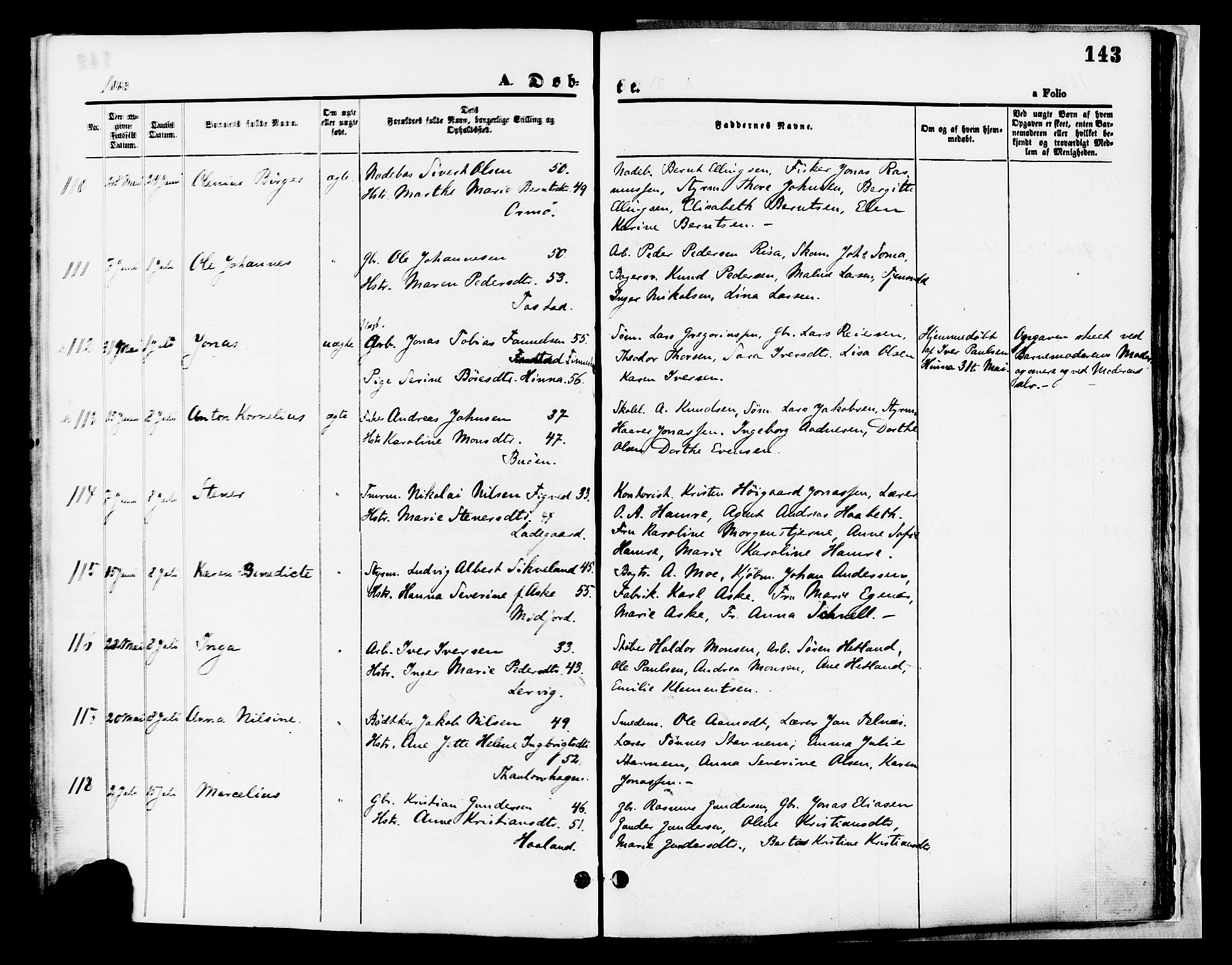 Hetland sokneprestkontor, AV/SAST-A-101826/30/30BA/L0008: Parish register (official) no. A 8, 1877-1884, p. 143