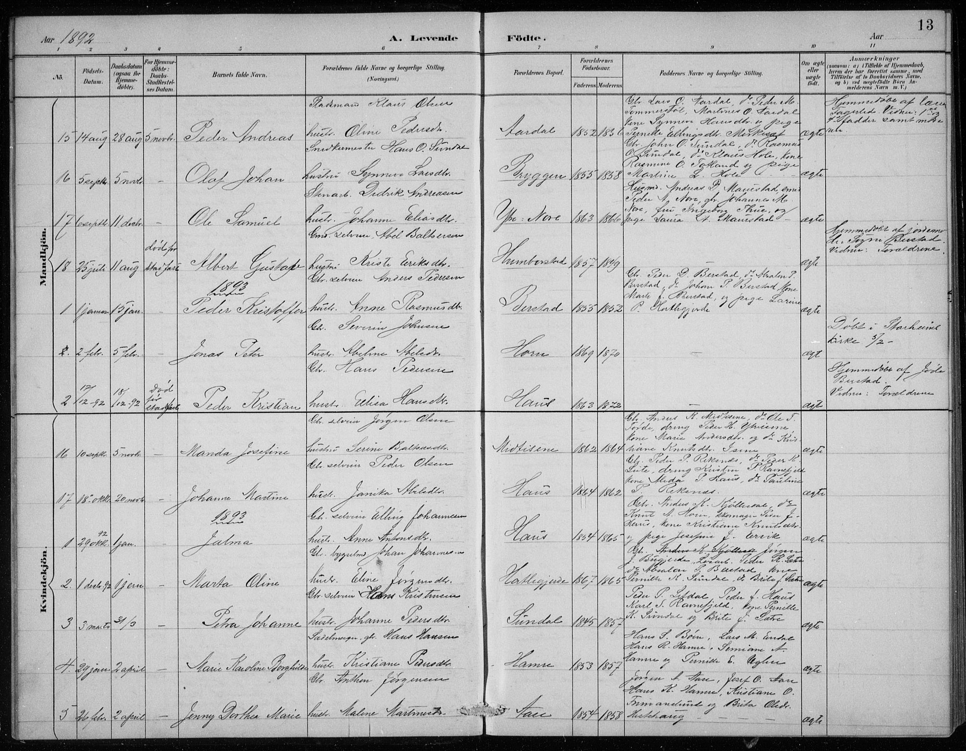 Davik sokneprestembete, AV/SAB-A-79701/H/Hab/Haba/L0002: Parish register (copy) no. A 2, 1890-1911, p. 13