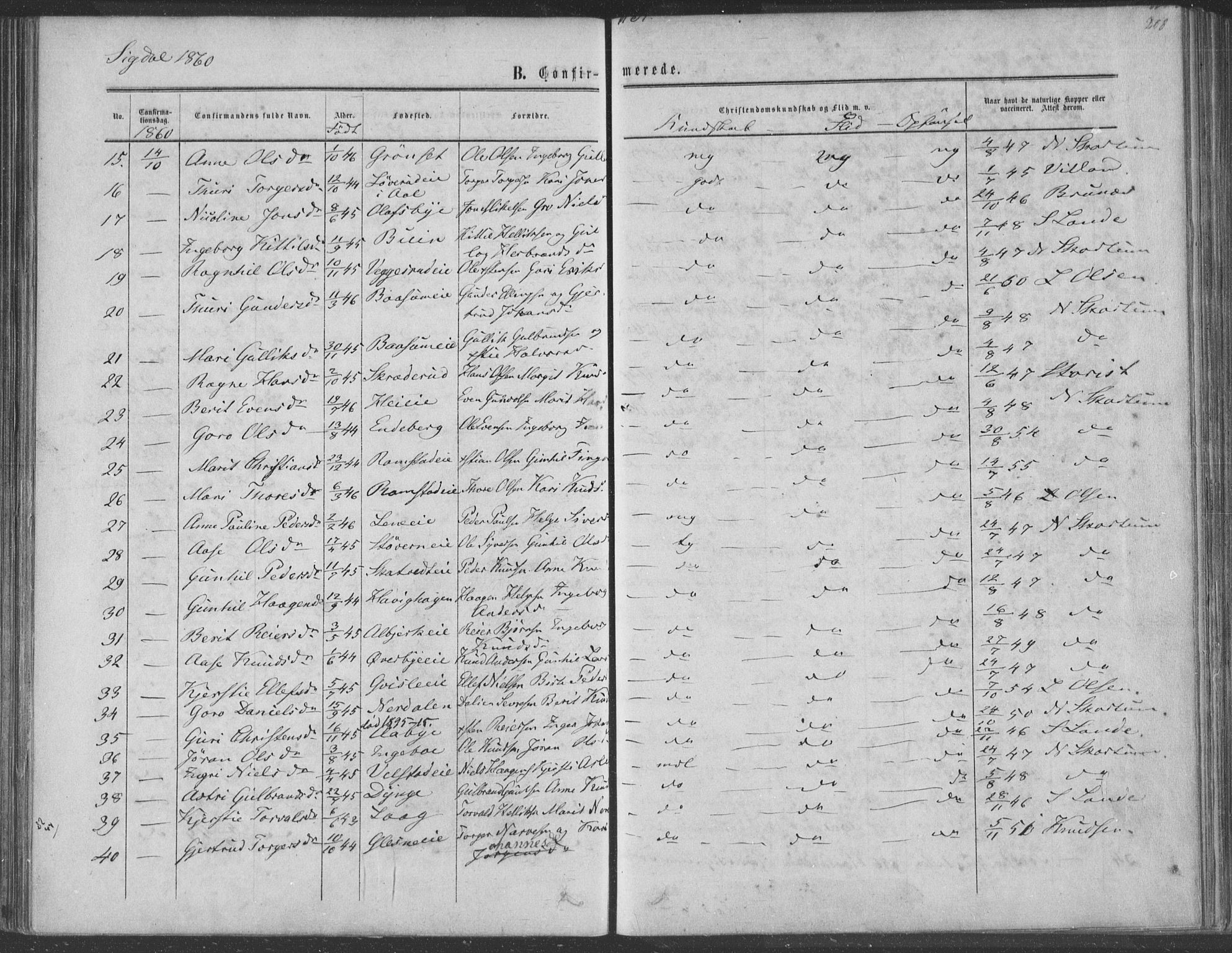 Sigdal kirkebøker, AV/SAKO-A-245/F/Fa/L0009a: Parish register (official) no. I 9A, 1860-1871, p. 208