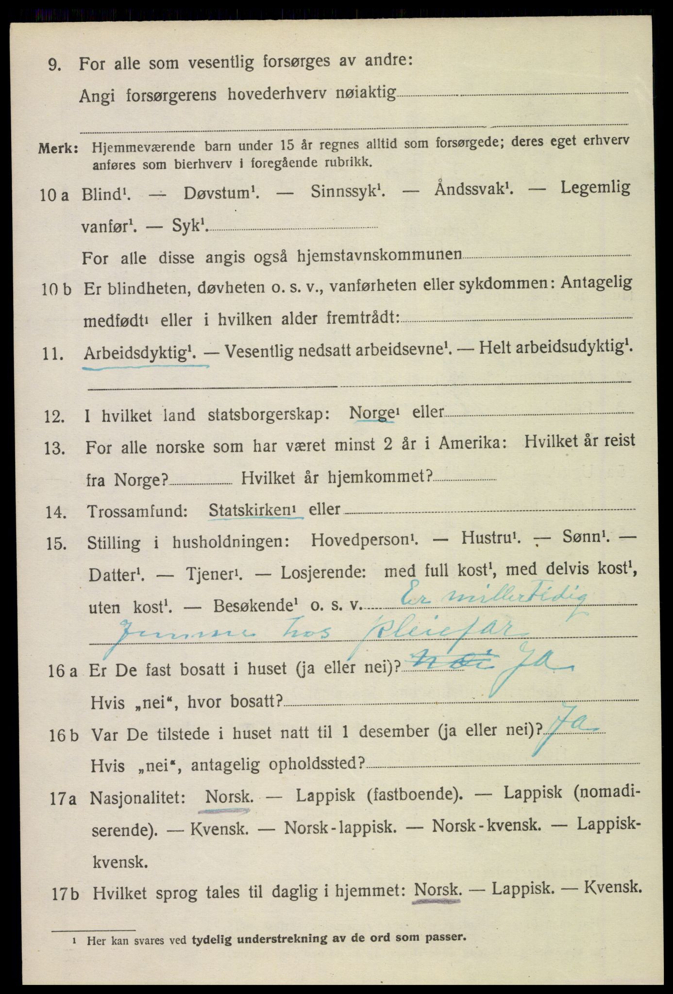 SAT, 1920 census for Bø, 1920, p. 5719
