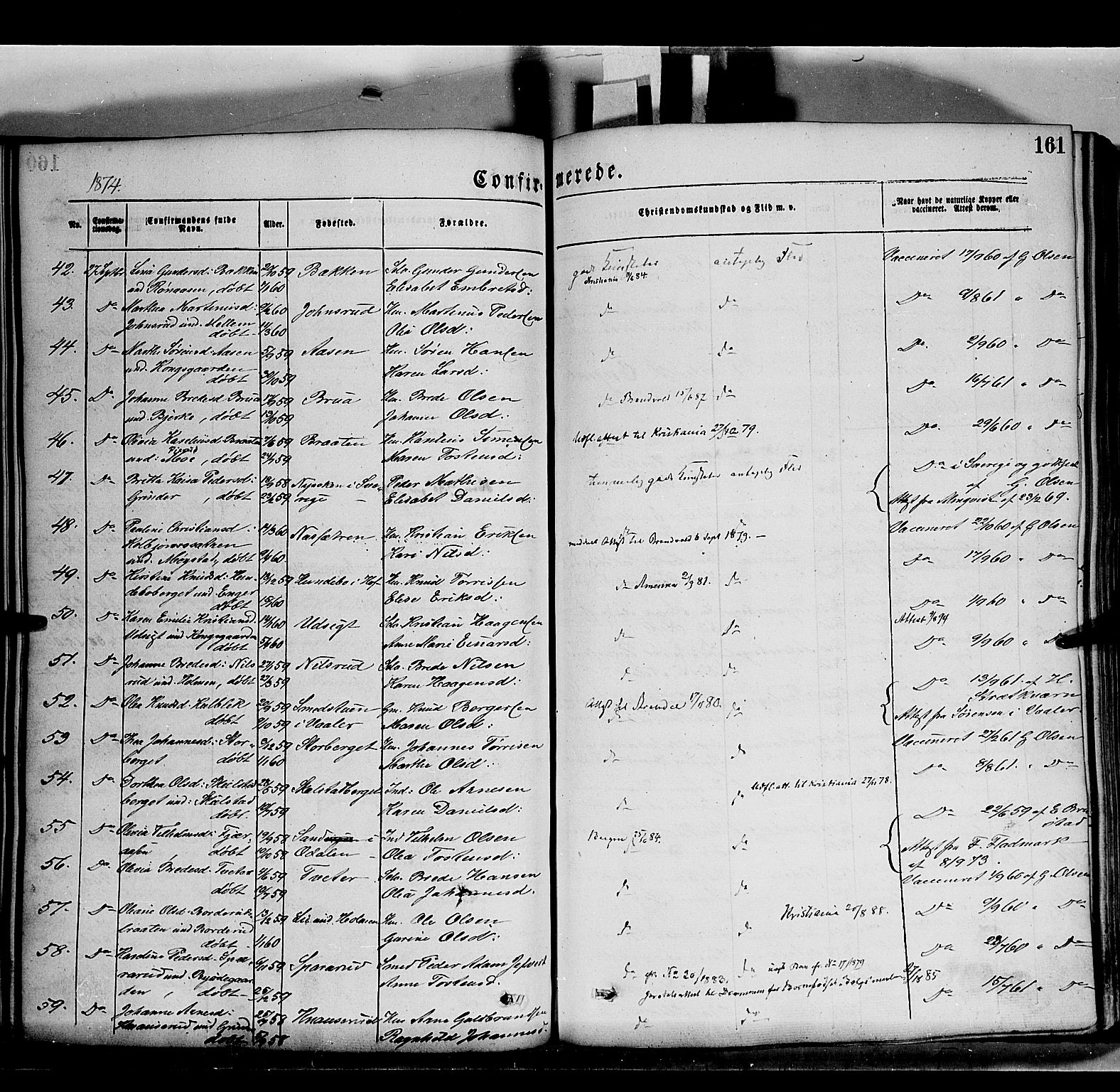 Grue prestekontor, AV/SAH-PREST-036/H/Ha/Haa/L0011: Parish register (official) no. 11, 1873-1880, p. 161