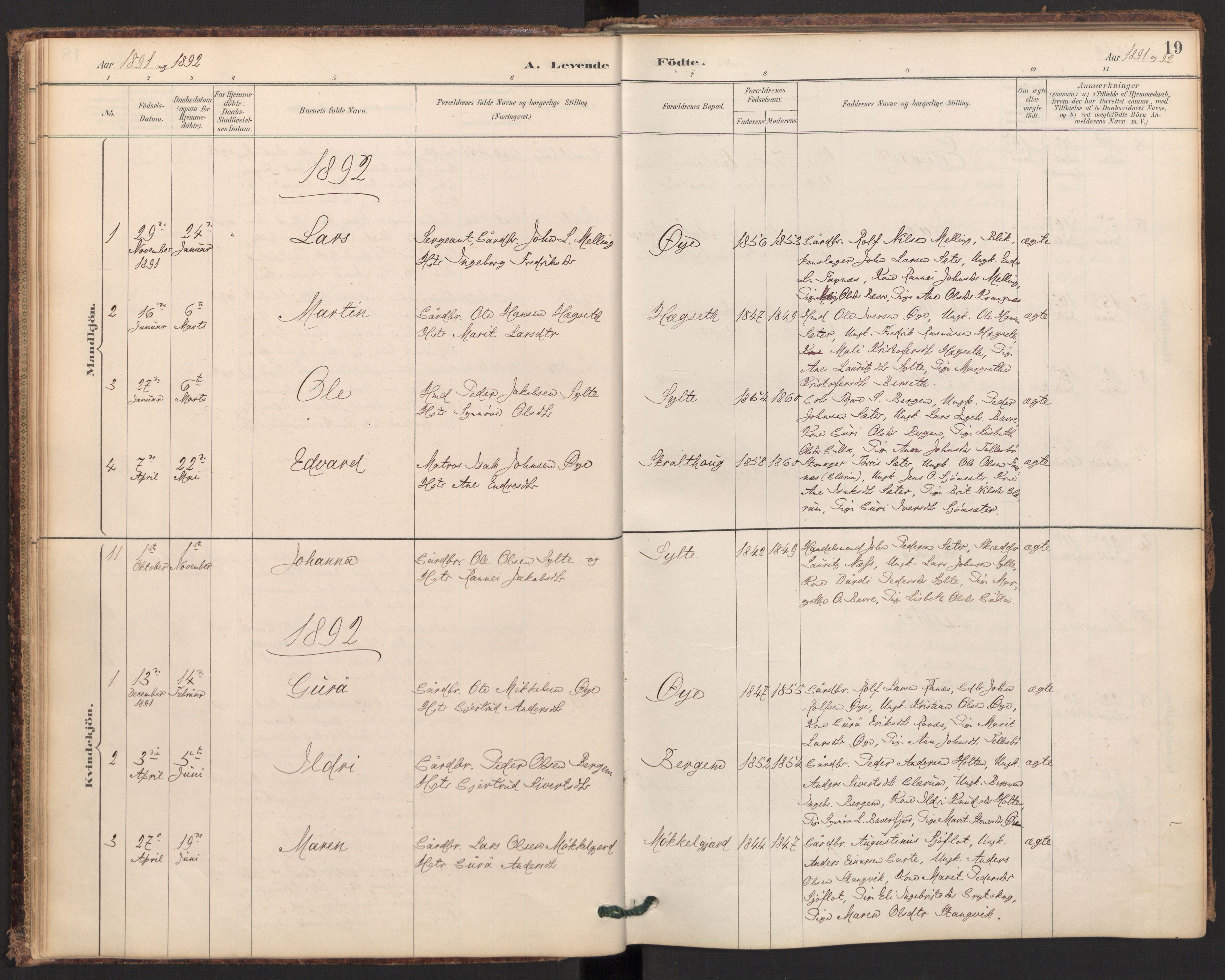 Ministerialprotokoller, klokkerbøker og fødselsregistre - Møre og Romsdal, SAT/A-1454/595/L1047: Parish register (official) no. 595A09, 1885-1900, p. 19