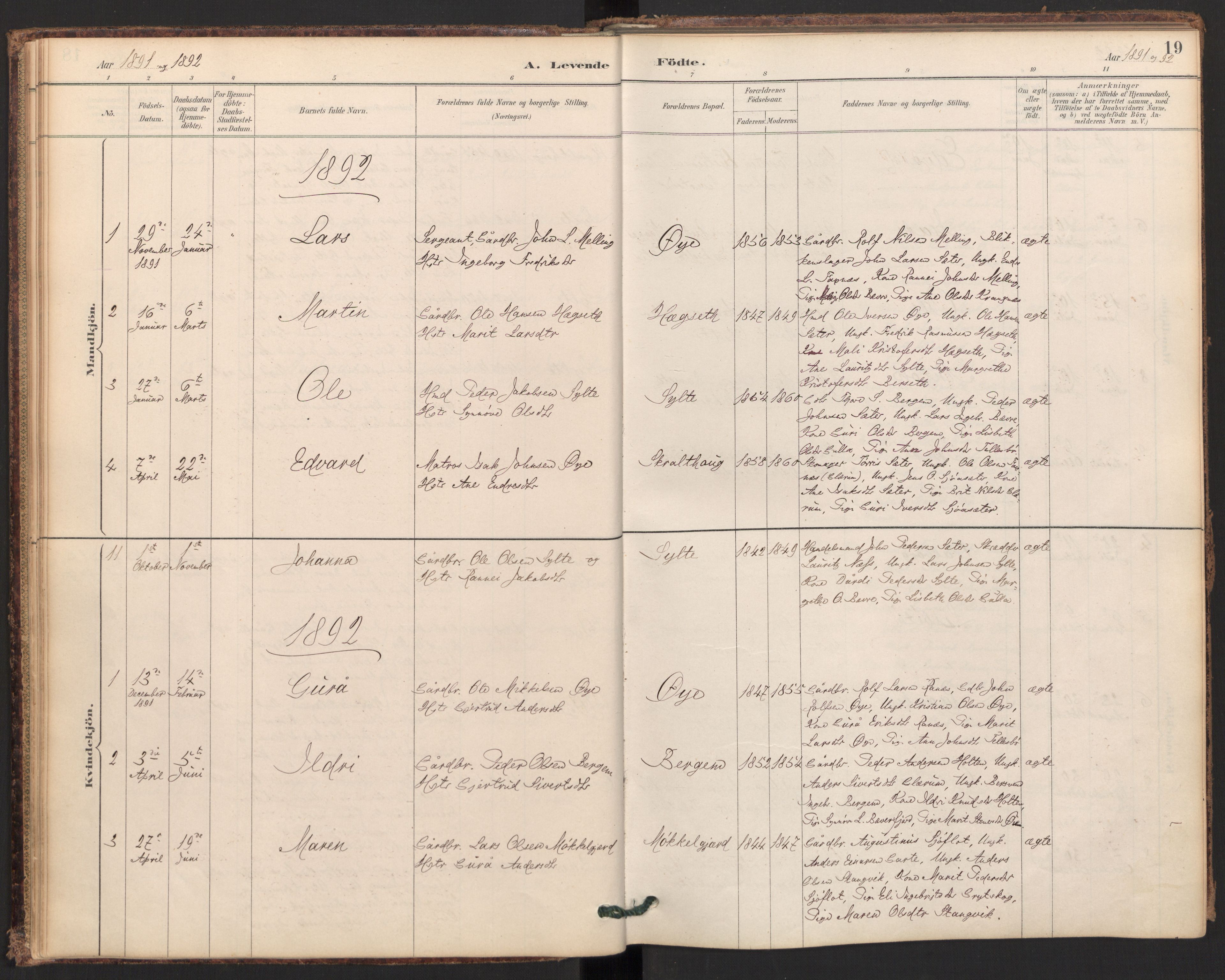 Ministerialprotokoller, klokkerbøker og fødselsregistre - Møre og Romsdal, AV/SAT-A-1454/595/L1047: Parish register (official) no. 595A09, 1885-1900, p. 19