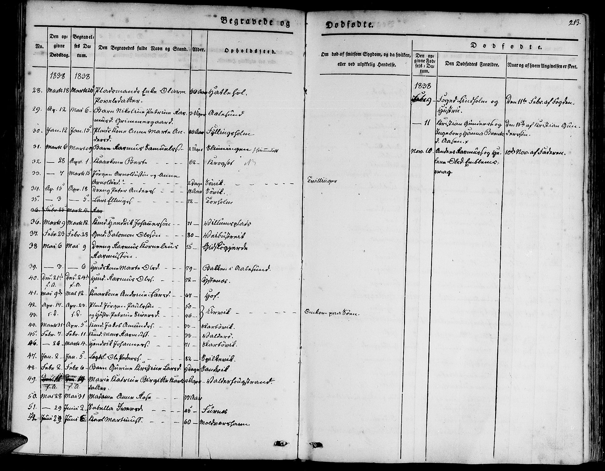 Ministerialprotokoller, klokkerbøker og fødselsregistre - Møre og Romsdal, AV/SAT-A-1454/528/L0395: Parish register (official) no. 528A06, 1828-1839, p. 213