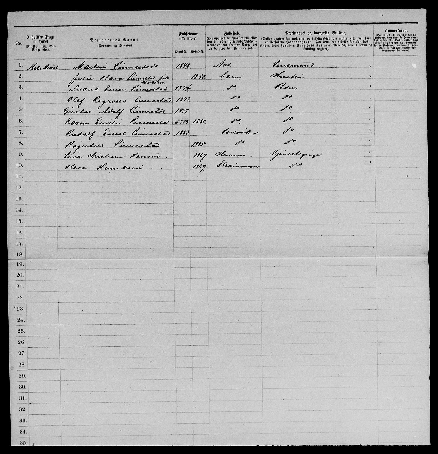 SAKO, 1885 census for 0701 Svelvik, 1885, p. 295