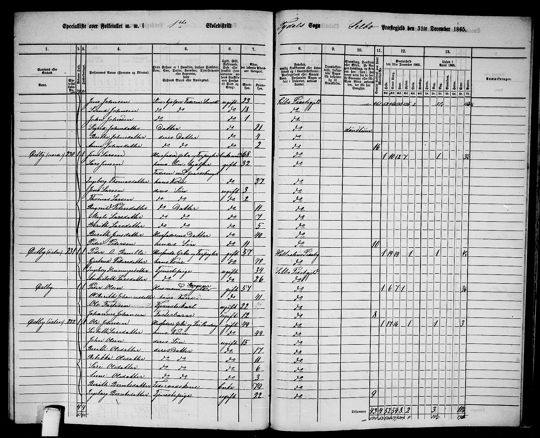 RA, 1865 census for Selbu, 1865, p. 240