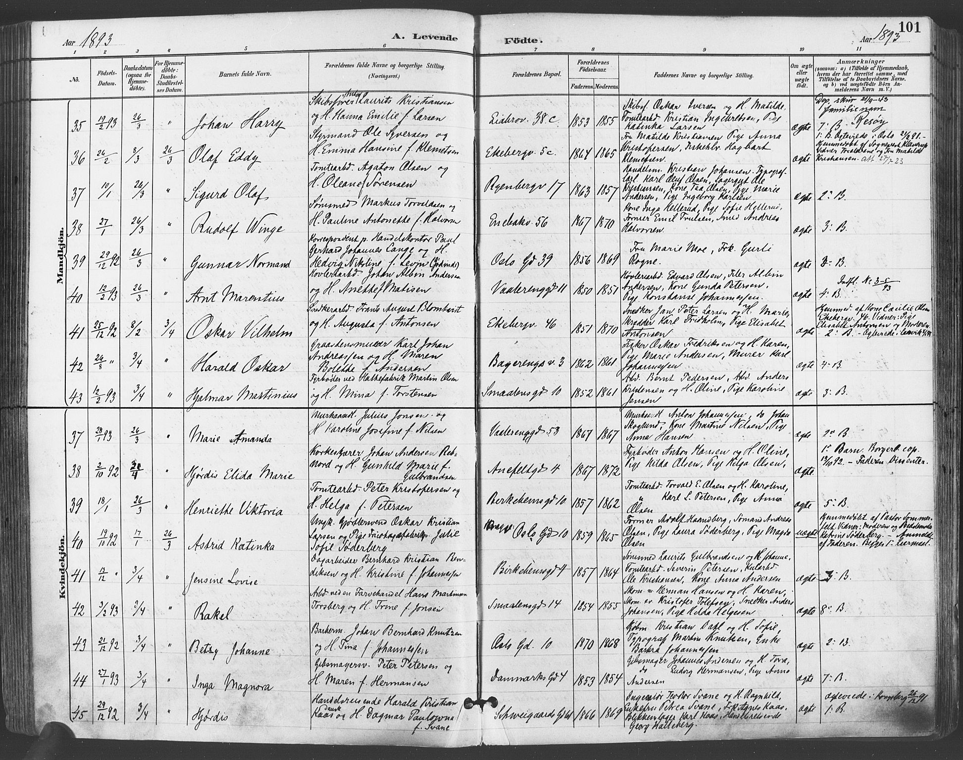 Gamlebyen prestekontor Kirkebøker, SAO/A-10884/F/Fa/L0007: Parish register (official) no. 7, 1889-1899, p. 101