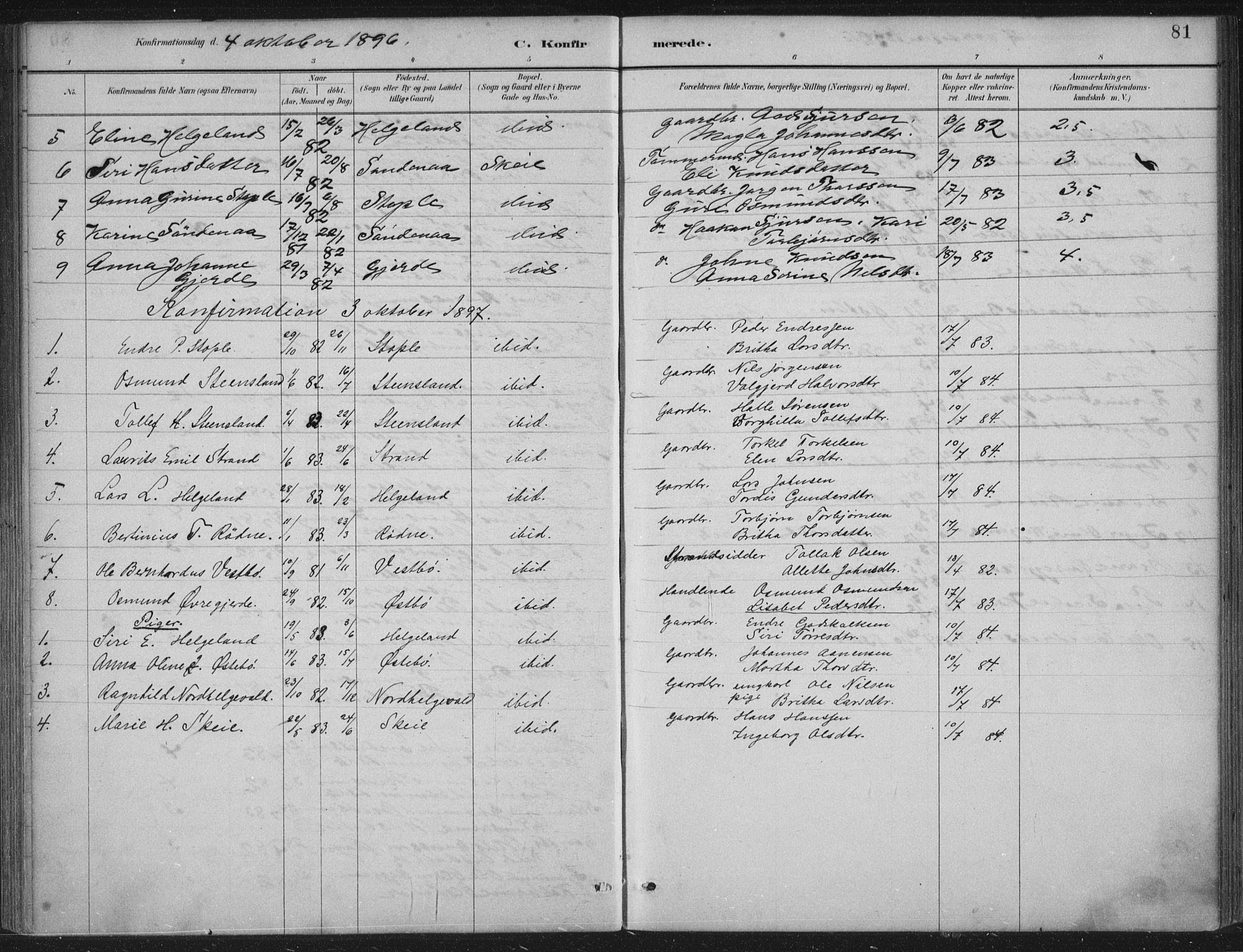 Vikedal sokneprestkontor, AV/SAST-A-101840/01/IV: Parish register (official) no. A 11, 1884-1933, p. 81