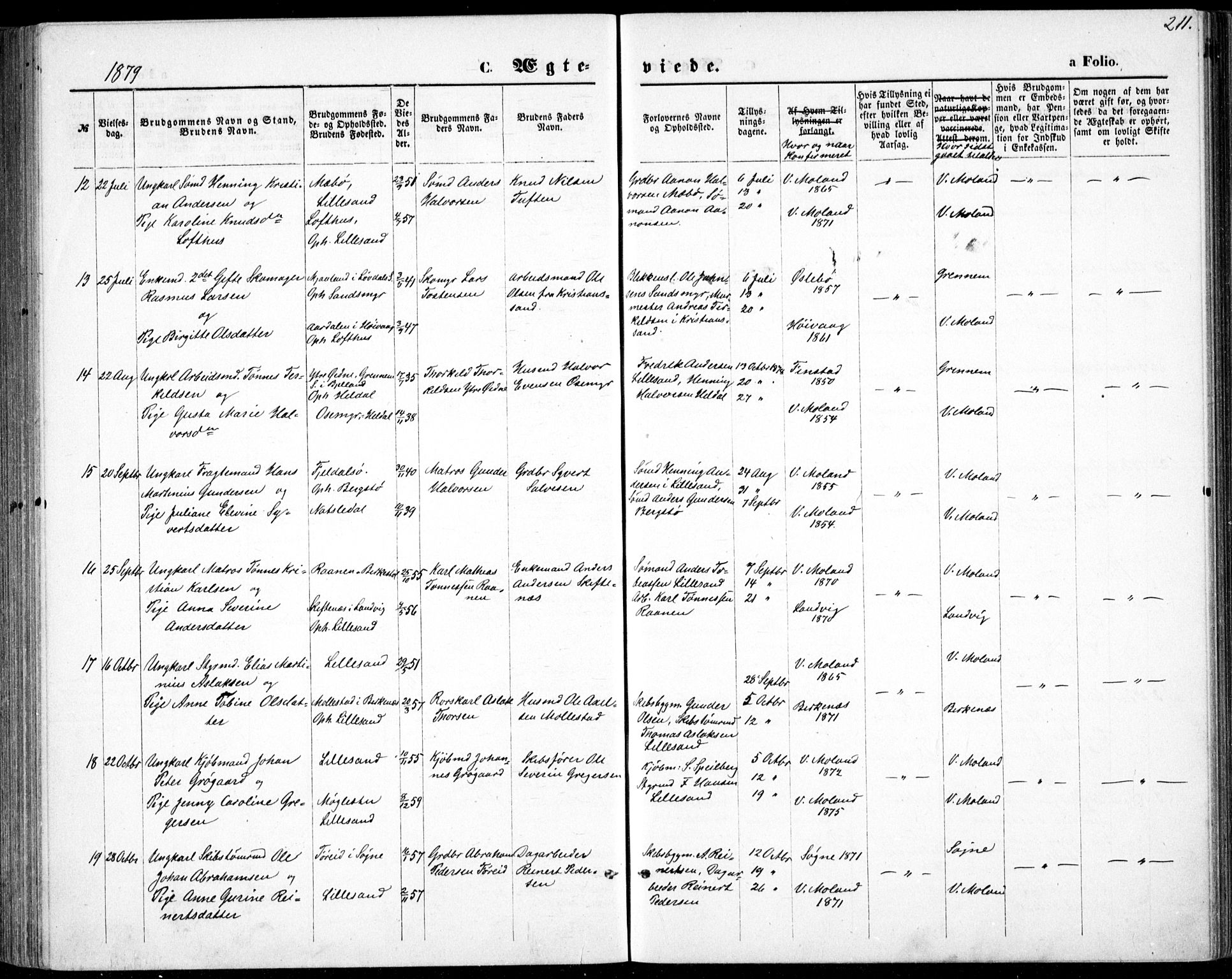 Vestre Moland sokneprestkontor, AV/SAK-1111-0046/F/Fb/Fbb/L0005: Parish register (copy) no. B 5, 1872-1883, p. 211